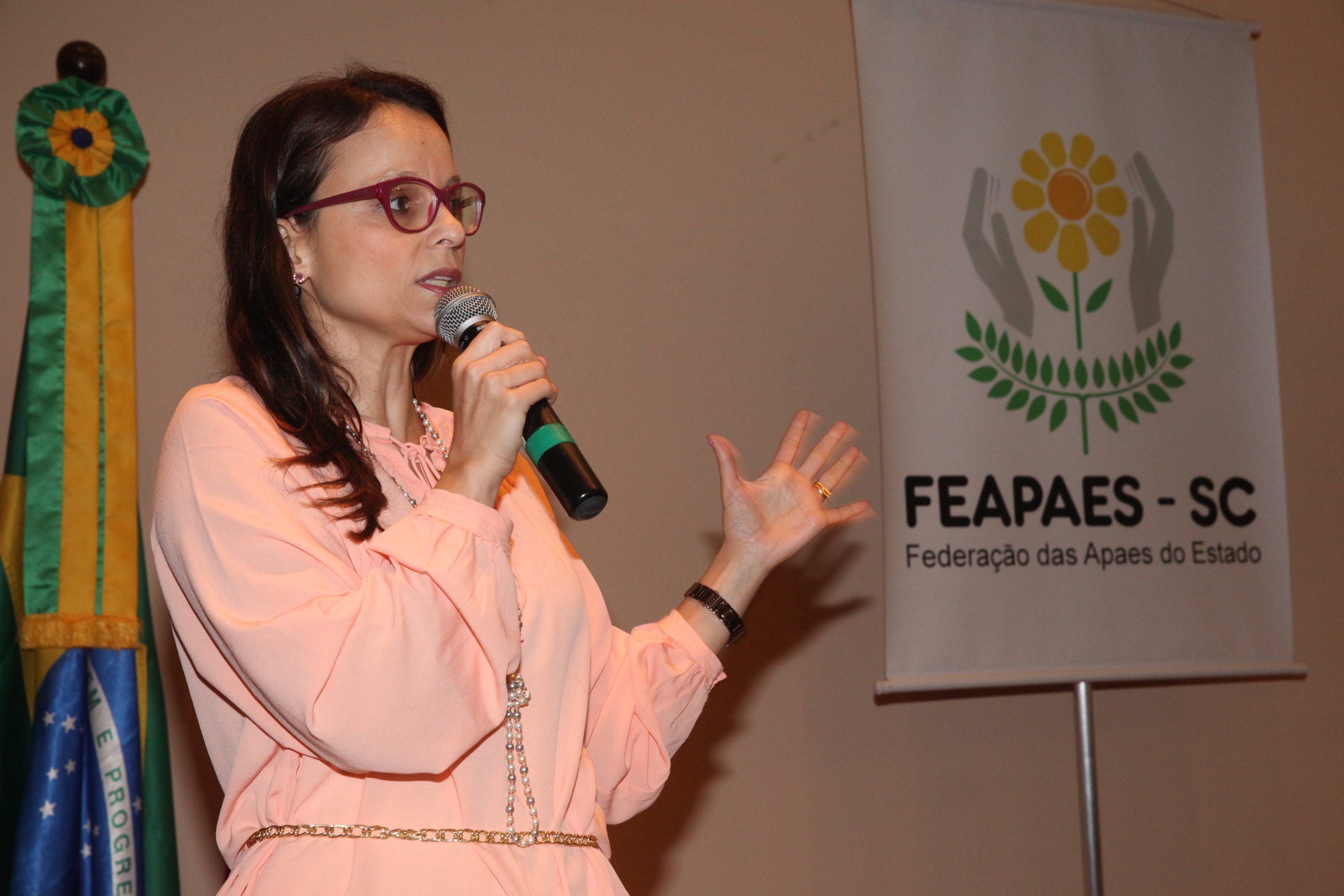 Seminário Prevenção de Deficiências. Foto: Fábio Queiroz / Agência AL