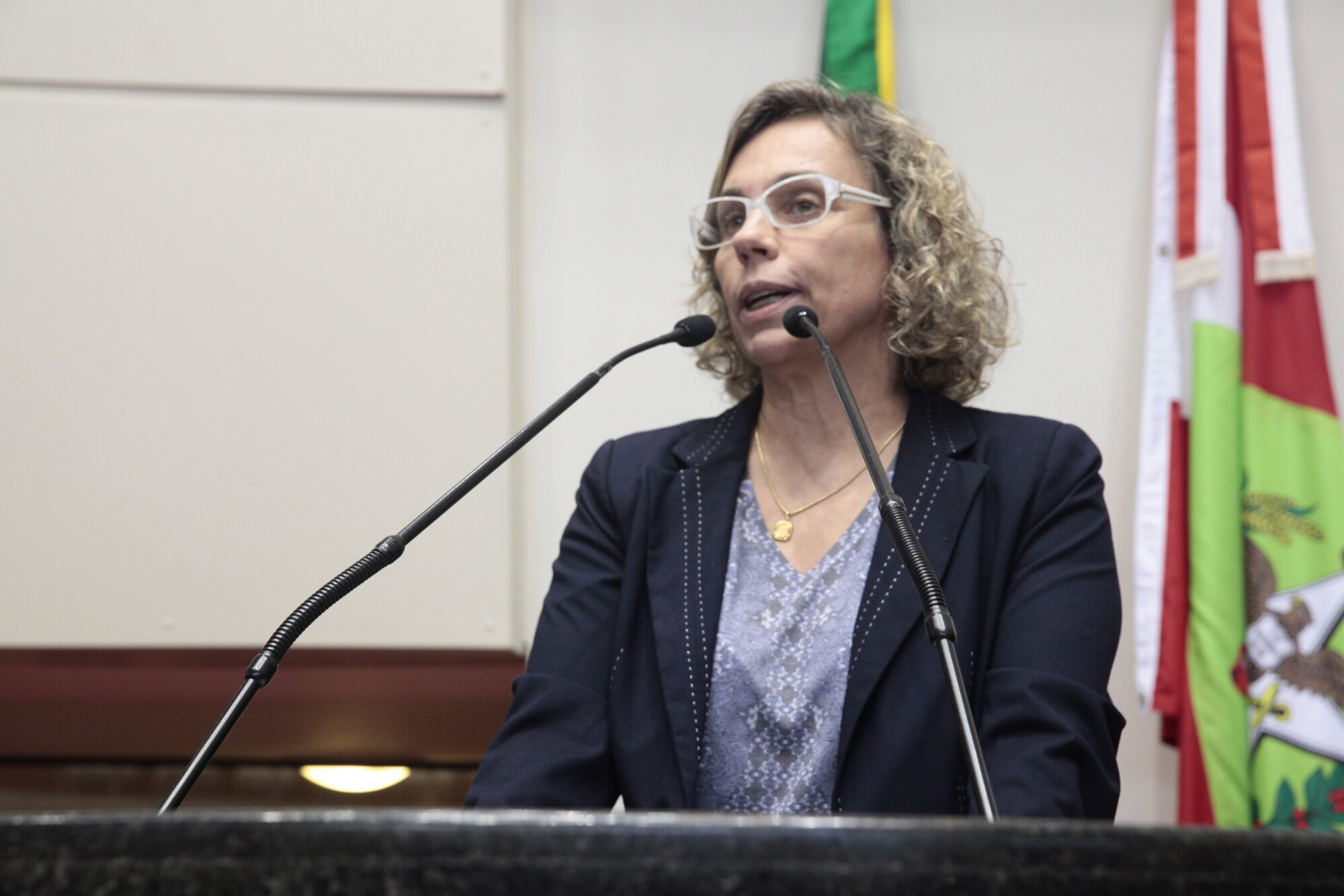 Deputada Ana Paula Lima FOTO: Eduardo Guedes de Oliveira/Agência AL