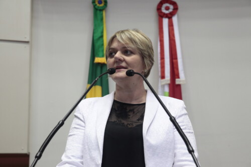 Parlamentares do PT são totalmente contra o PL da terceirização, disse Luciane