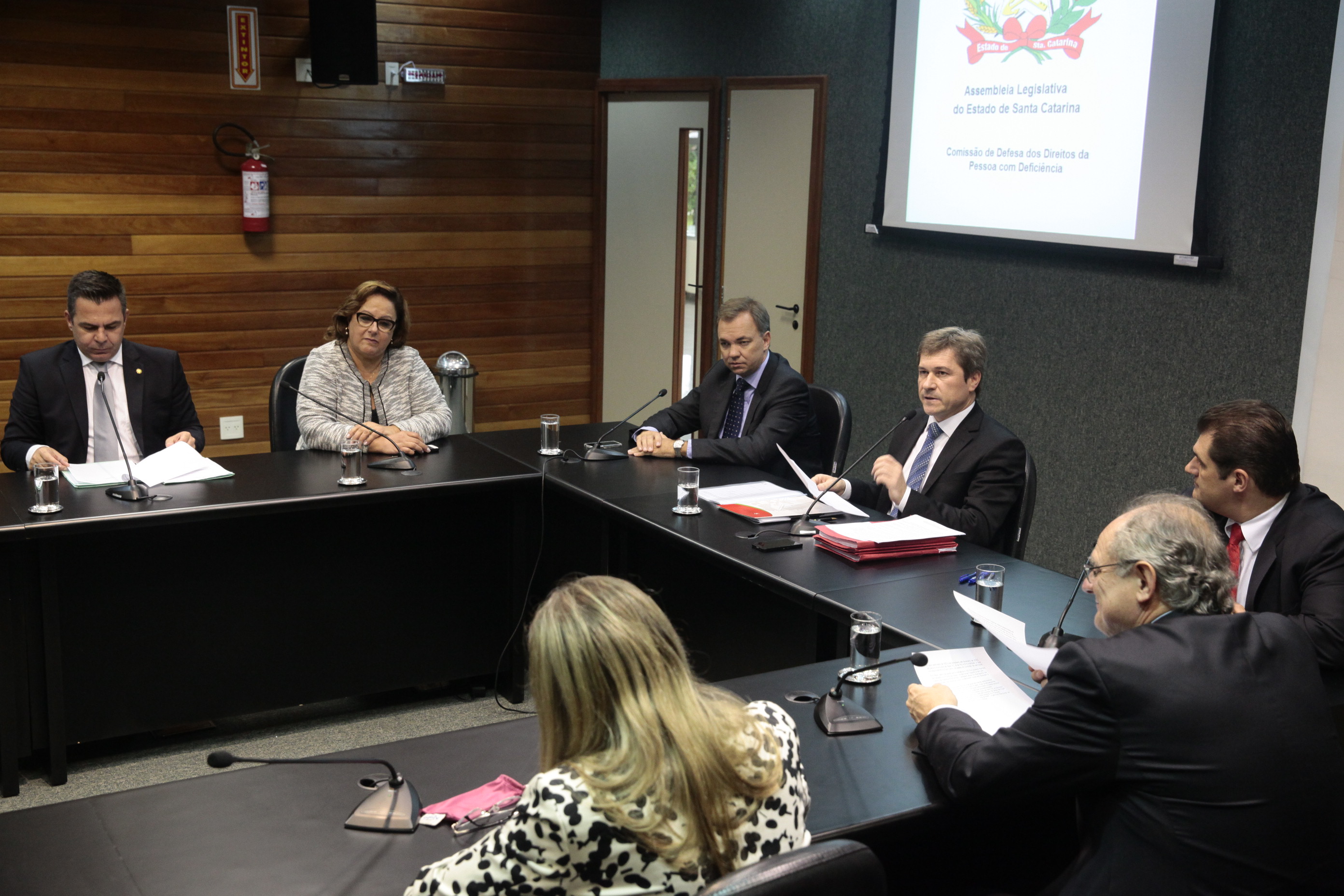 Comissão de Defesa dos Direitos da Pessoa com Deficiência