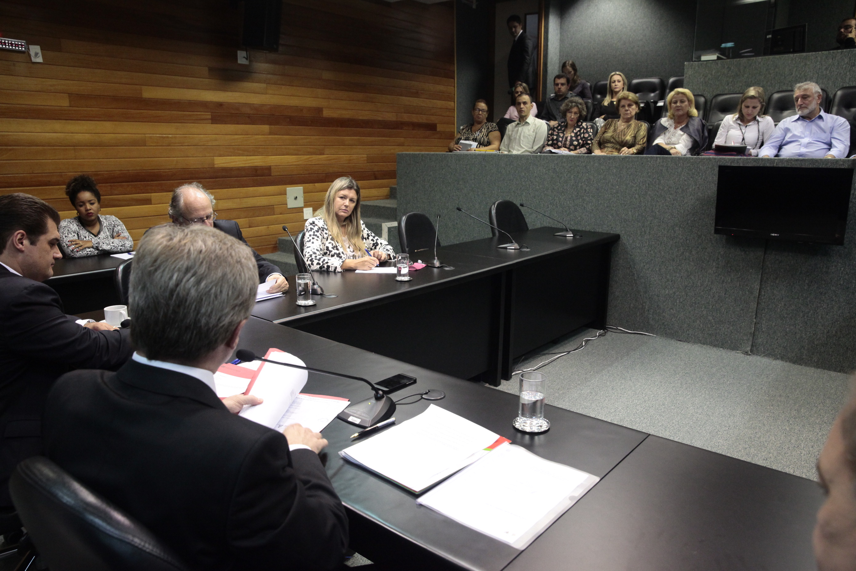 Reunião da Comissão de Defesa dos Direitos da Pessoa com Deficiência. Foto: Eduardo Guedes de Oliveira / Agência AL