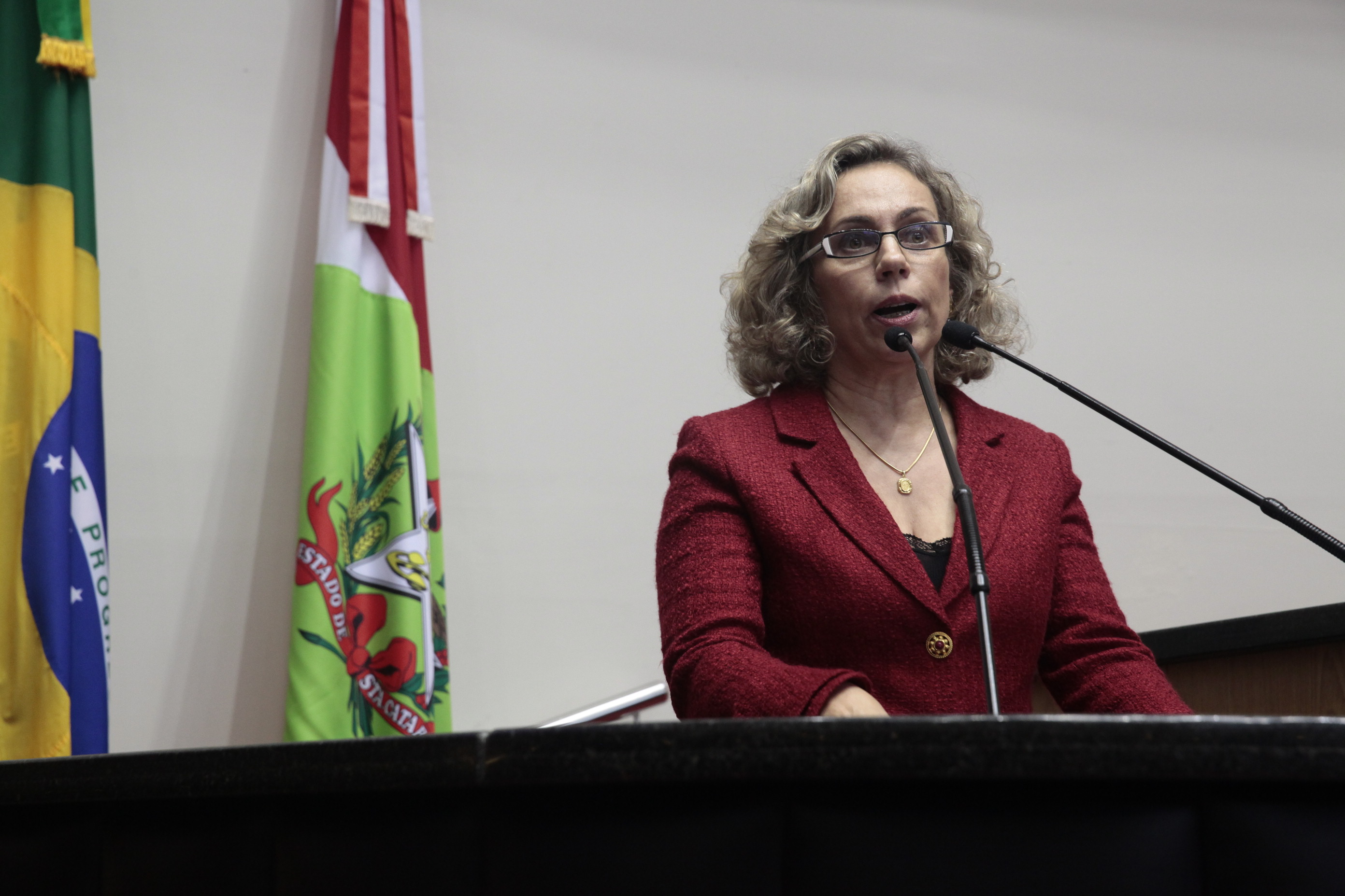 Deputada Ana Paula Lima (PT) Sessão Ordinária - Plenário Osni Régis. Foto: Eduardo Guedes/Agência AL