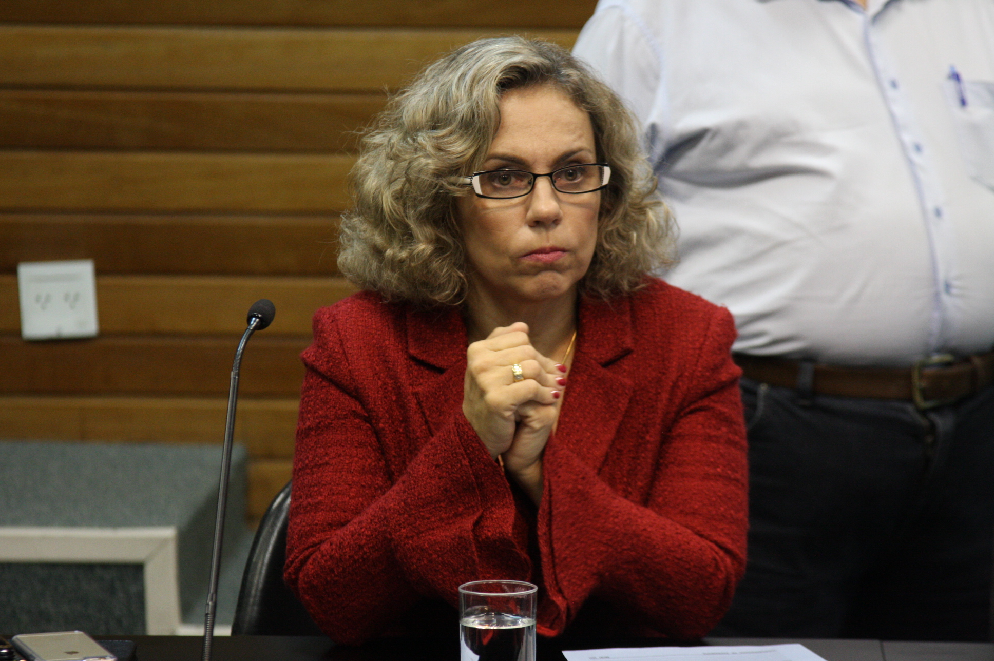 Comissão de Constituição e Justiça. Deputada Ana Paula Lima (PT)  Yuri Santos / Agência AL