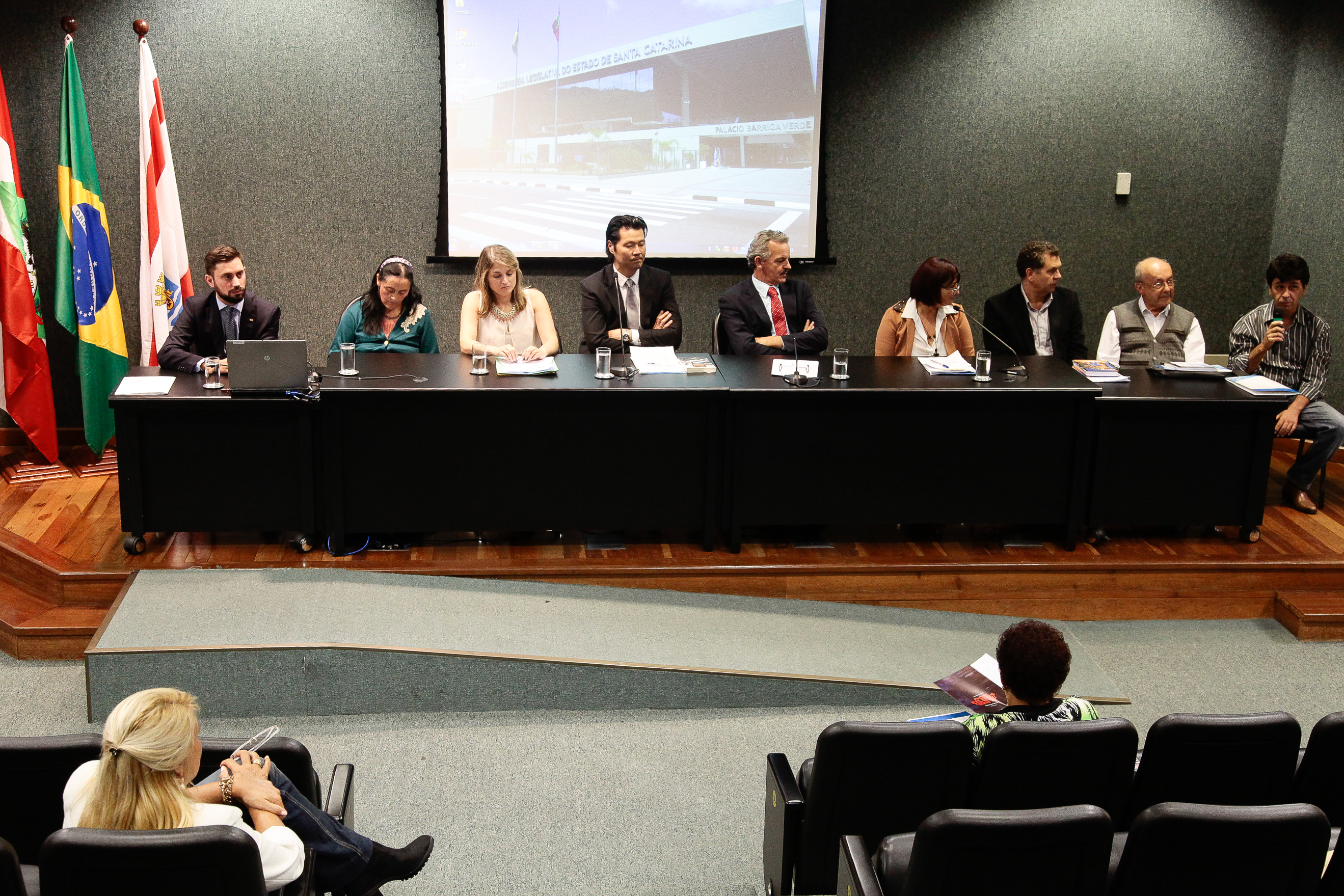 Seminário sobre a Articulação do Comitê de Combate à Tortura. Foto: Miriam Zomer/Agência AL
