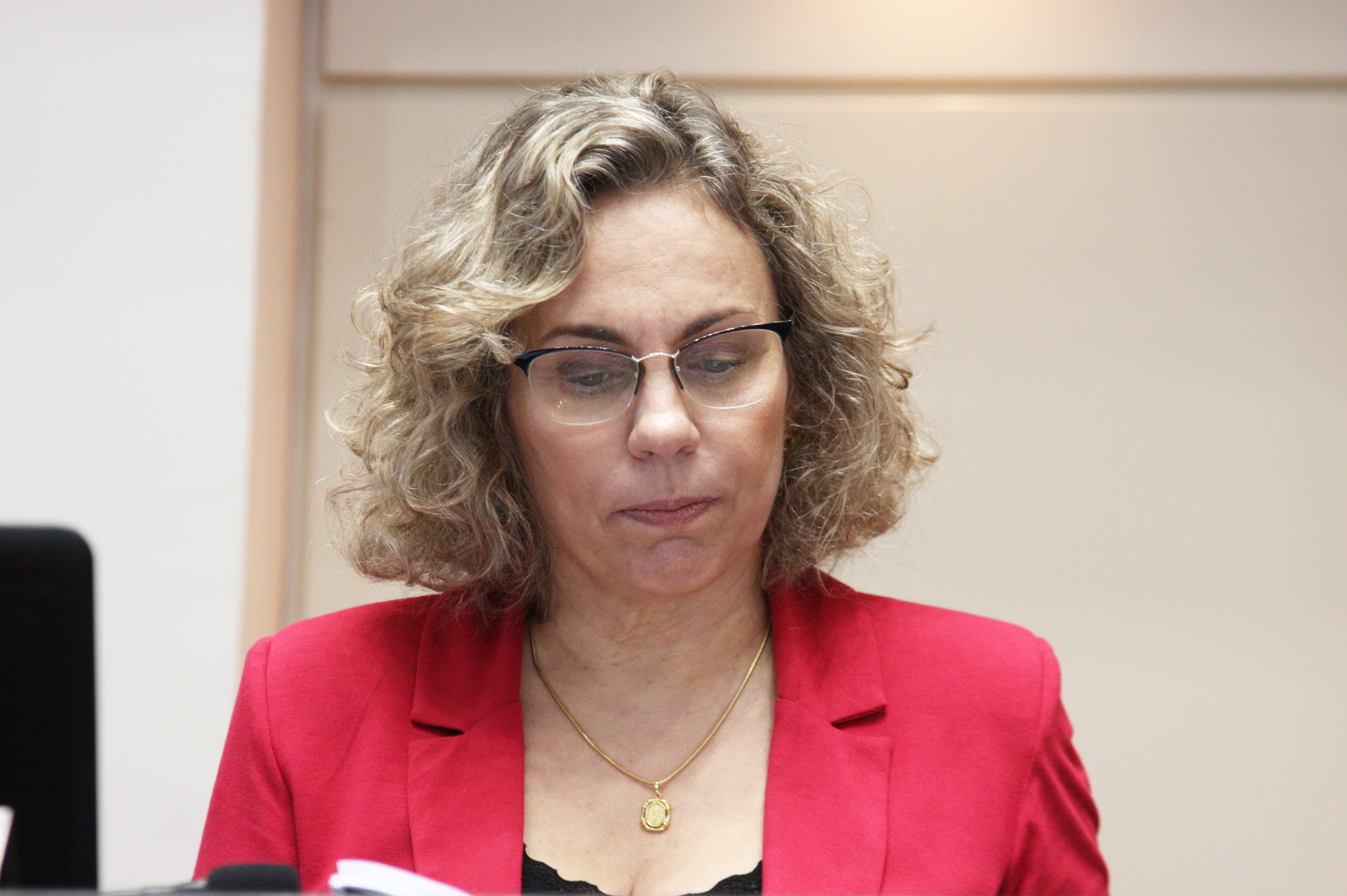Deputada Ana Paula Lima (PT) Sessão Ordinária. Foto: Yuri Santos / Agência AL