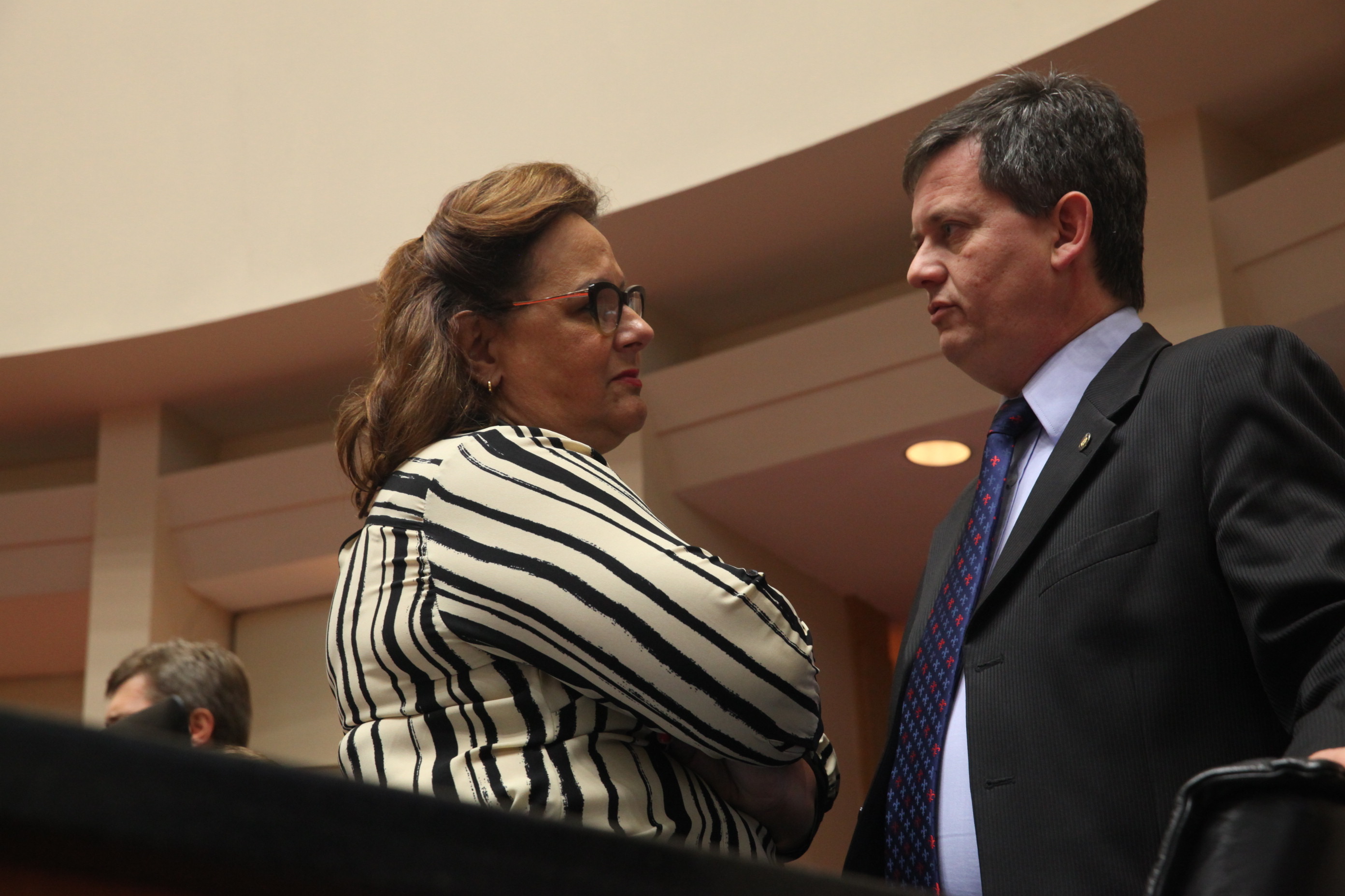 Sessão Ordinária - Plenário Osni Régis. Foto: Eduardo Guedes de Oliveira / Agência AL