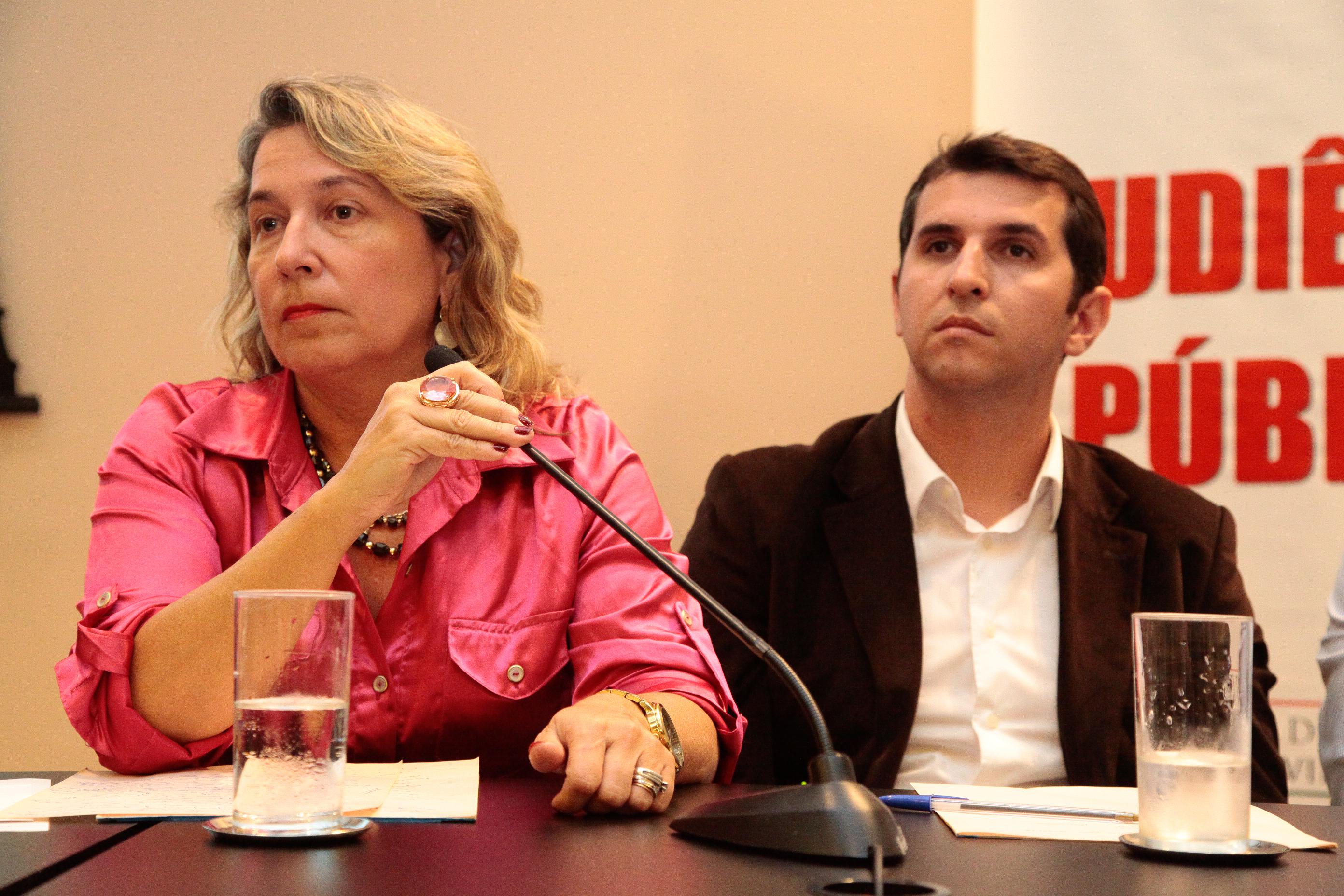 Audiência Pública da Comissão de Transportes, sobre a Demarcação dos Terrenos de Marinha. Foto: Miriam Zomer/Agência AL