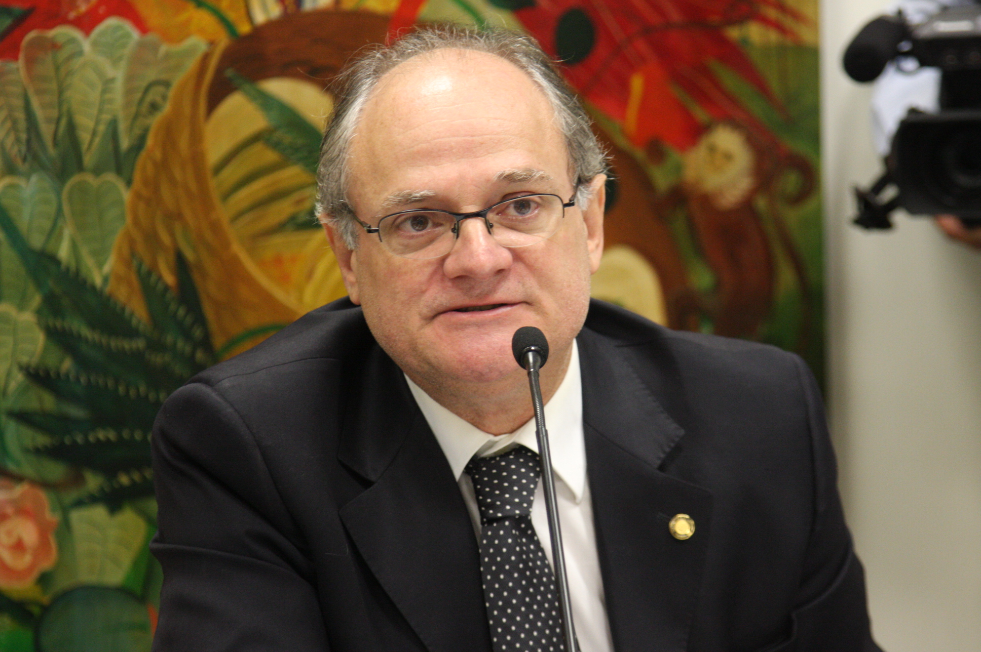 Comissão de Defesa dos Direitos da Criança e do Adolescente. Deputado Vicente Caropreso (PSDB) Foto: Yuri Santos / Agência AL