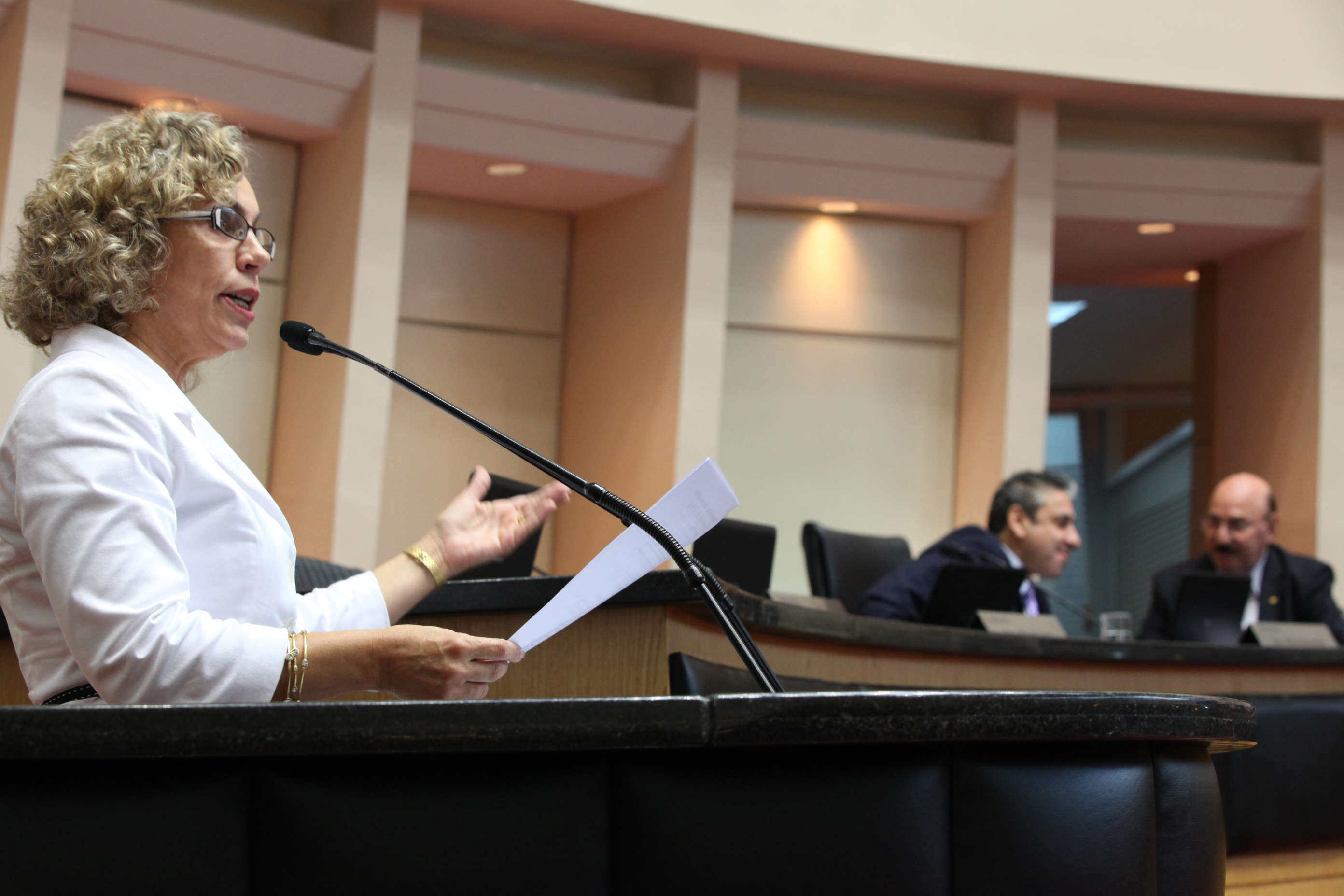 Deputada Ana Paula Lima (PT)  - Sessão Ordinária - Plenário. Foto: Eduardo Guedes de Oliveira / Agência AL
