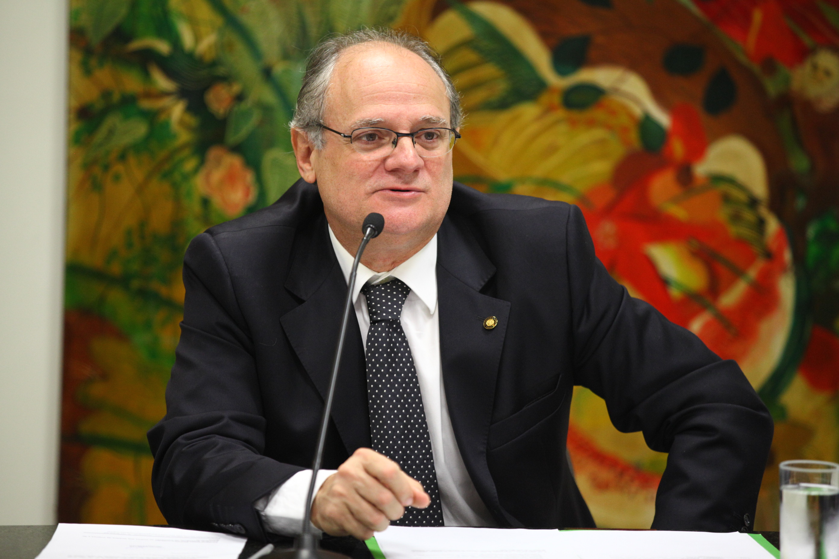 Comissão de Defesa dos Direitos da Criança e do Adolescente - Deputado Vicente Caropreso (PSDB)