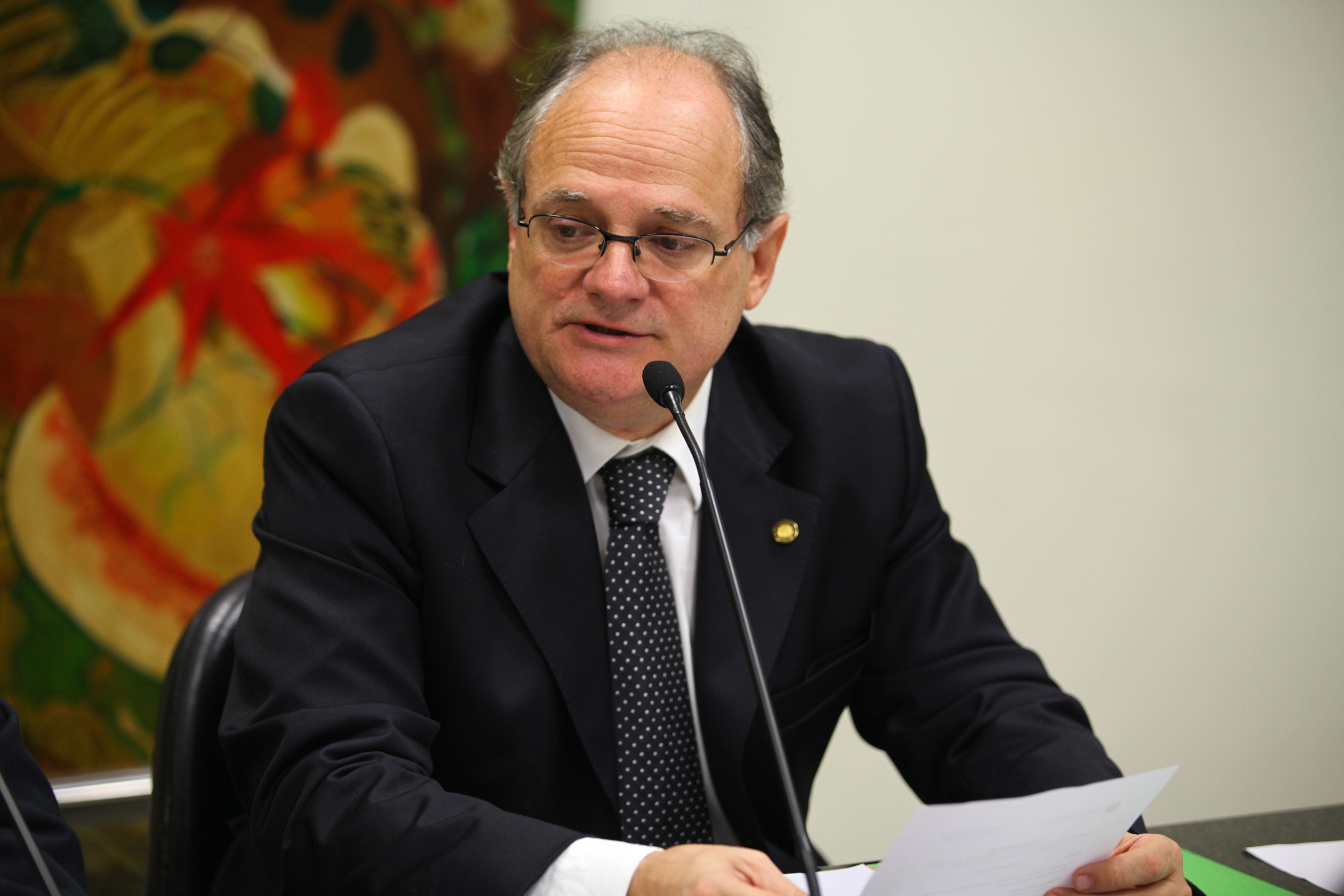 Comissão de Defesa dos Direitos da Criança e do Adolescente - Deputado Vicente Caropreso (PSDB)