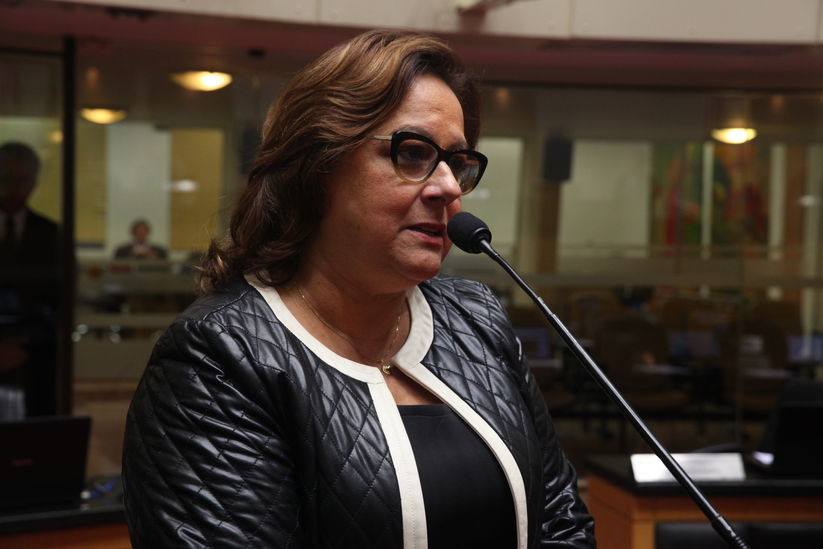 Deputada Dirce Heiderscheidt (PMDB) - Sessão Ordinária - Plenário Osni Régis. Foto: Eduardo Guedes de Oliveira / Agência AL