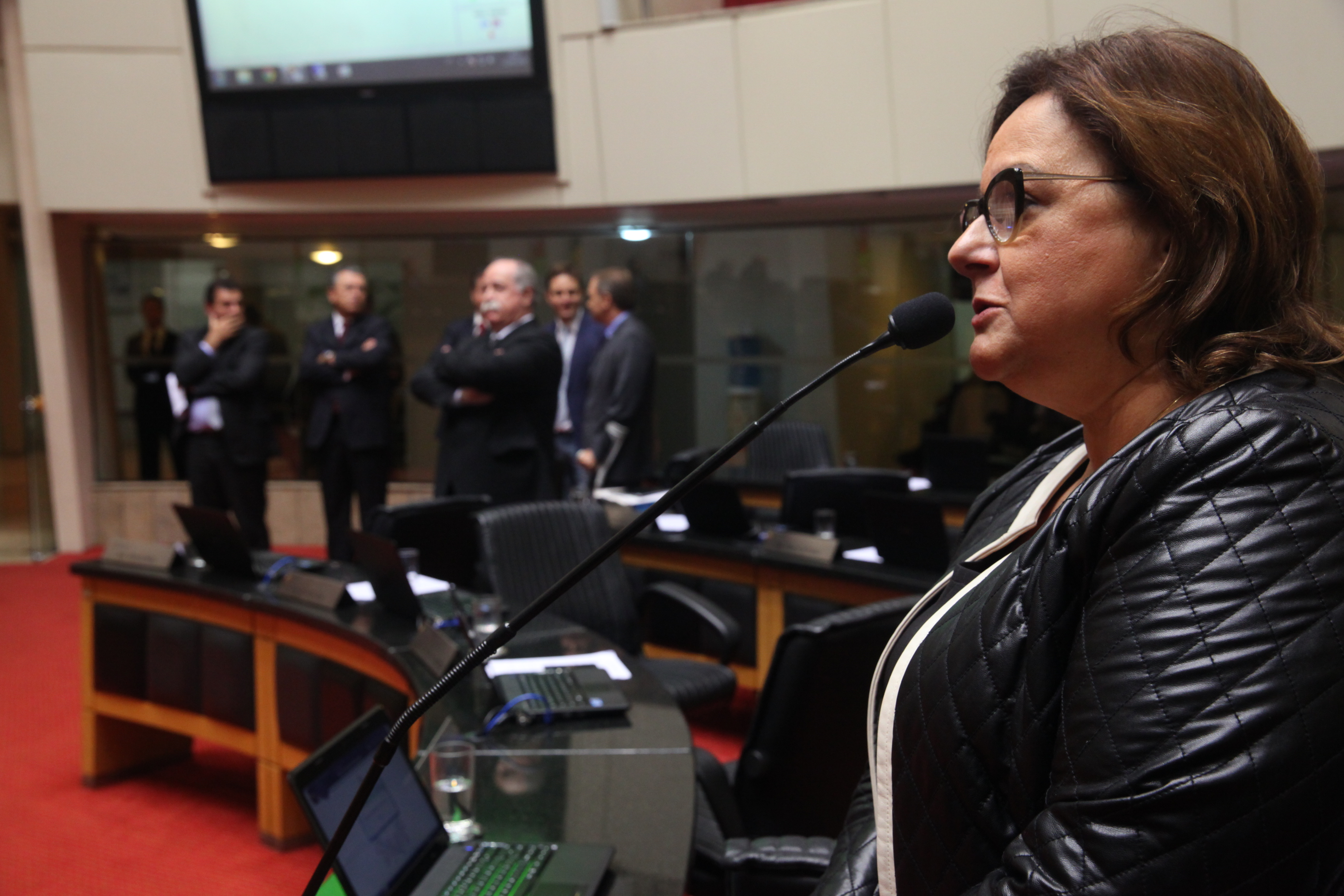 Sessão Ordinária - Plenário Osni Régis. Foto: Eduardo Guedes de Oliveira / Agência AL