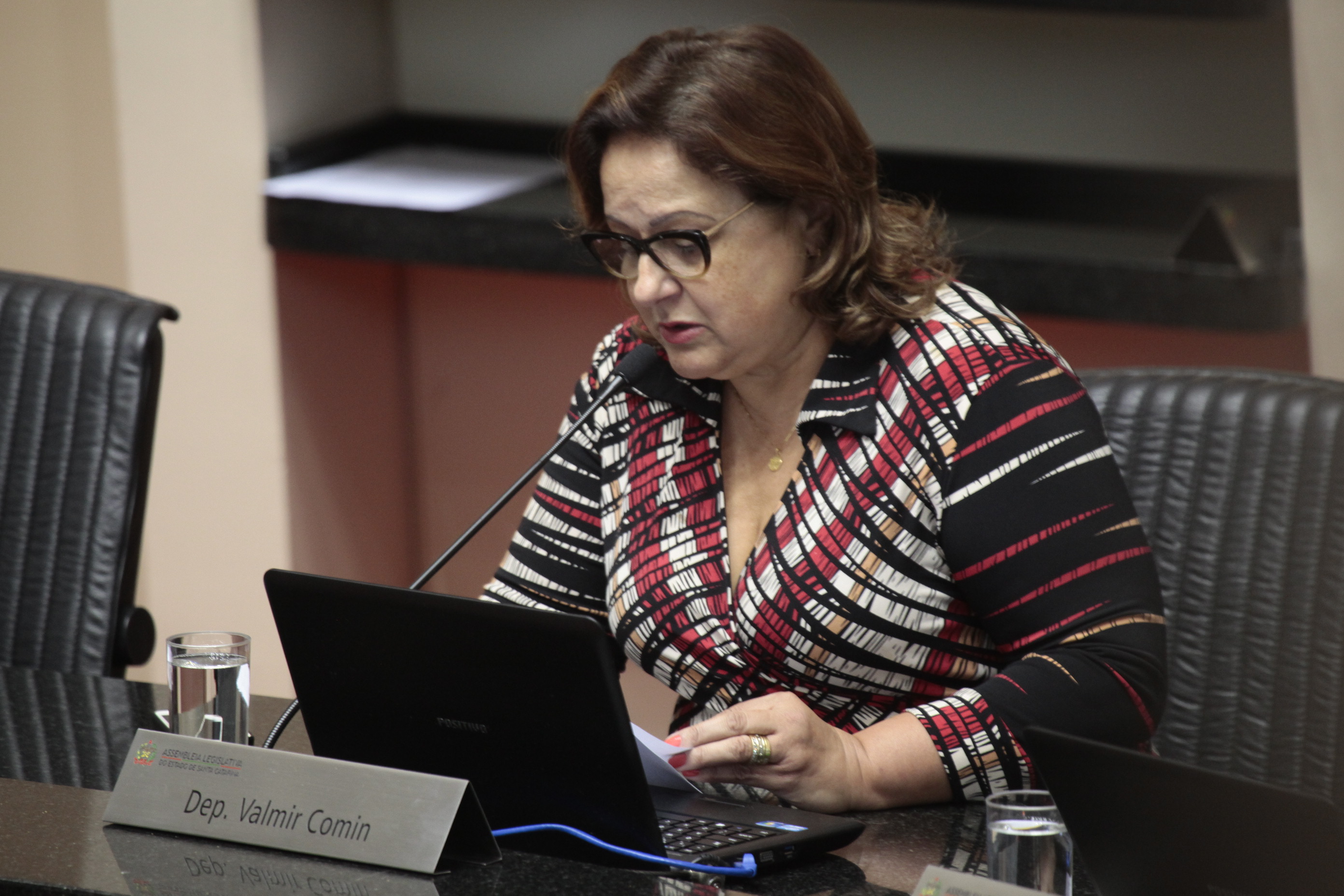 Sessão Ordinária. Deputada Dirce Heiderscheidt (PMDB)