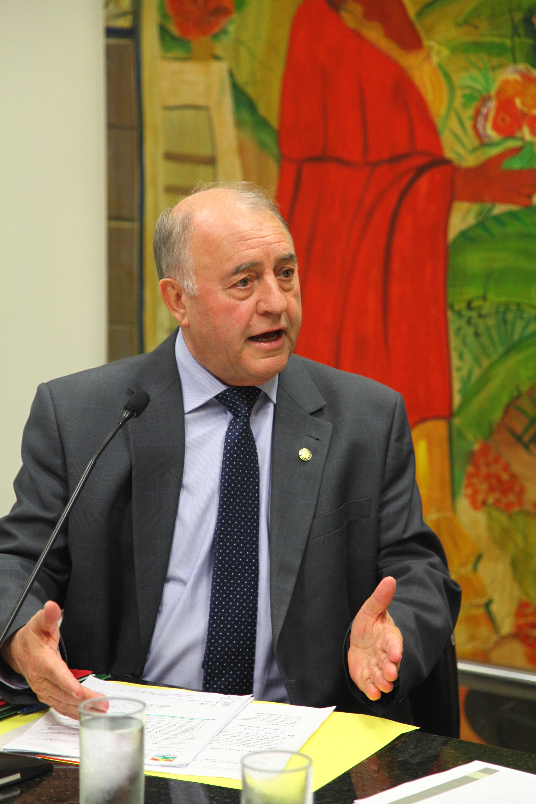 Comissão de Agricultura - Deputado Natalino Lázare (PR)