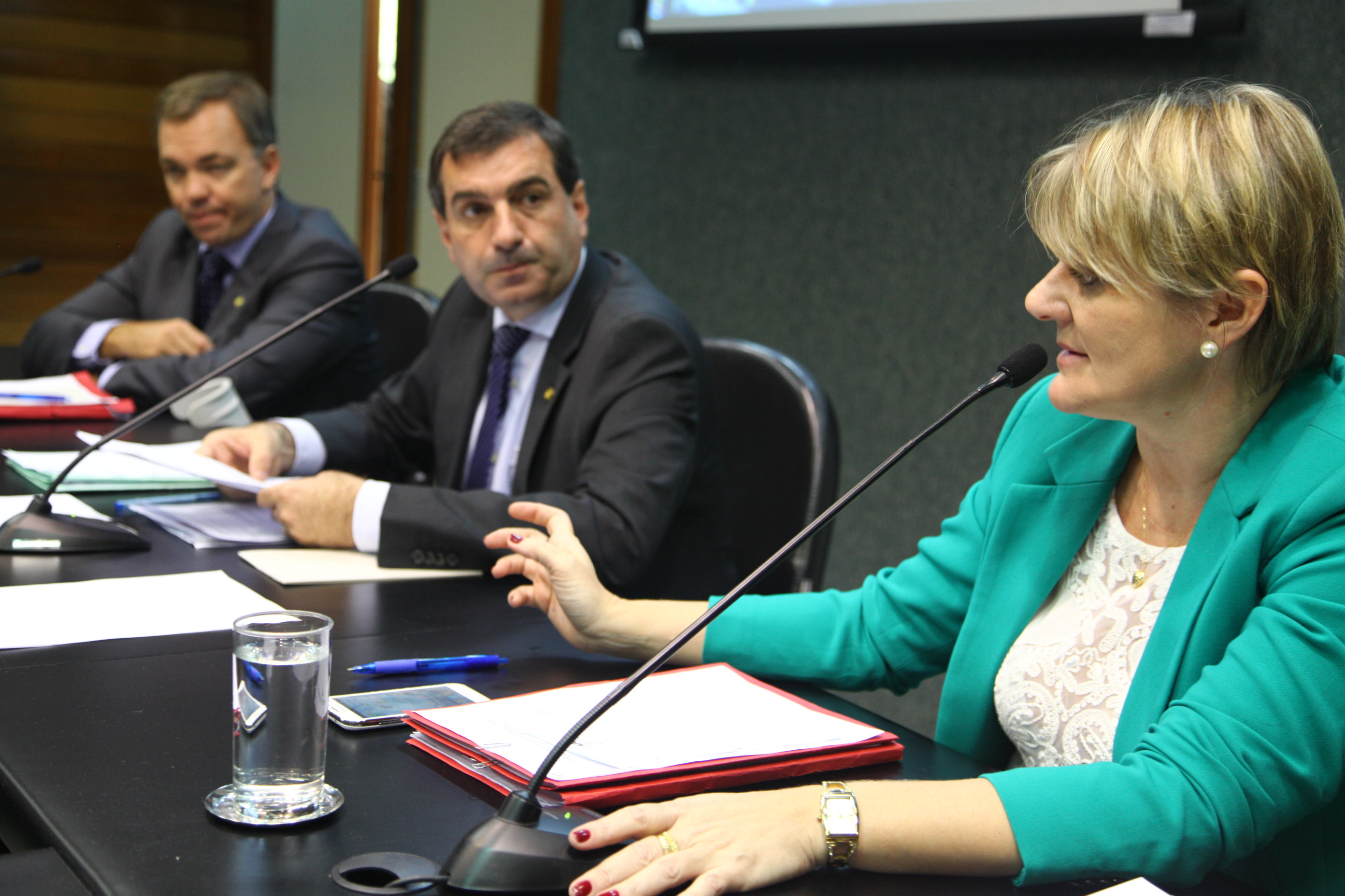 Comissão de Educação - Deputado Valdir Cobalchini-PMDB (centro)