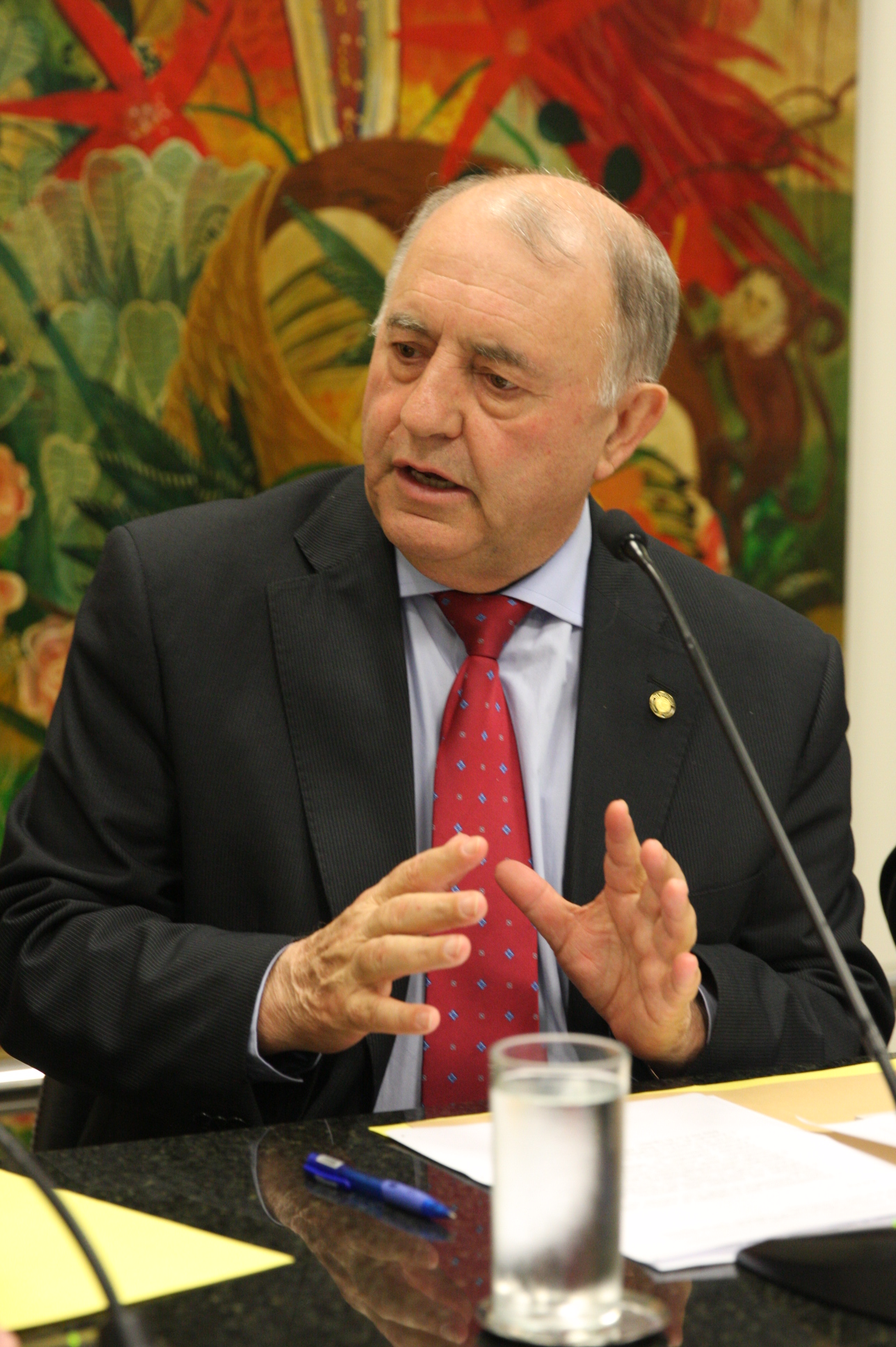 Comissão de Agricultura e Politica Rural. Deputado Natalino Lazare (PR). Foto: Laís Amorim | Agência AL