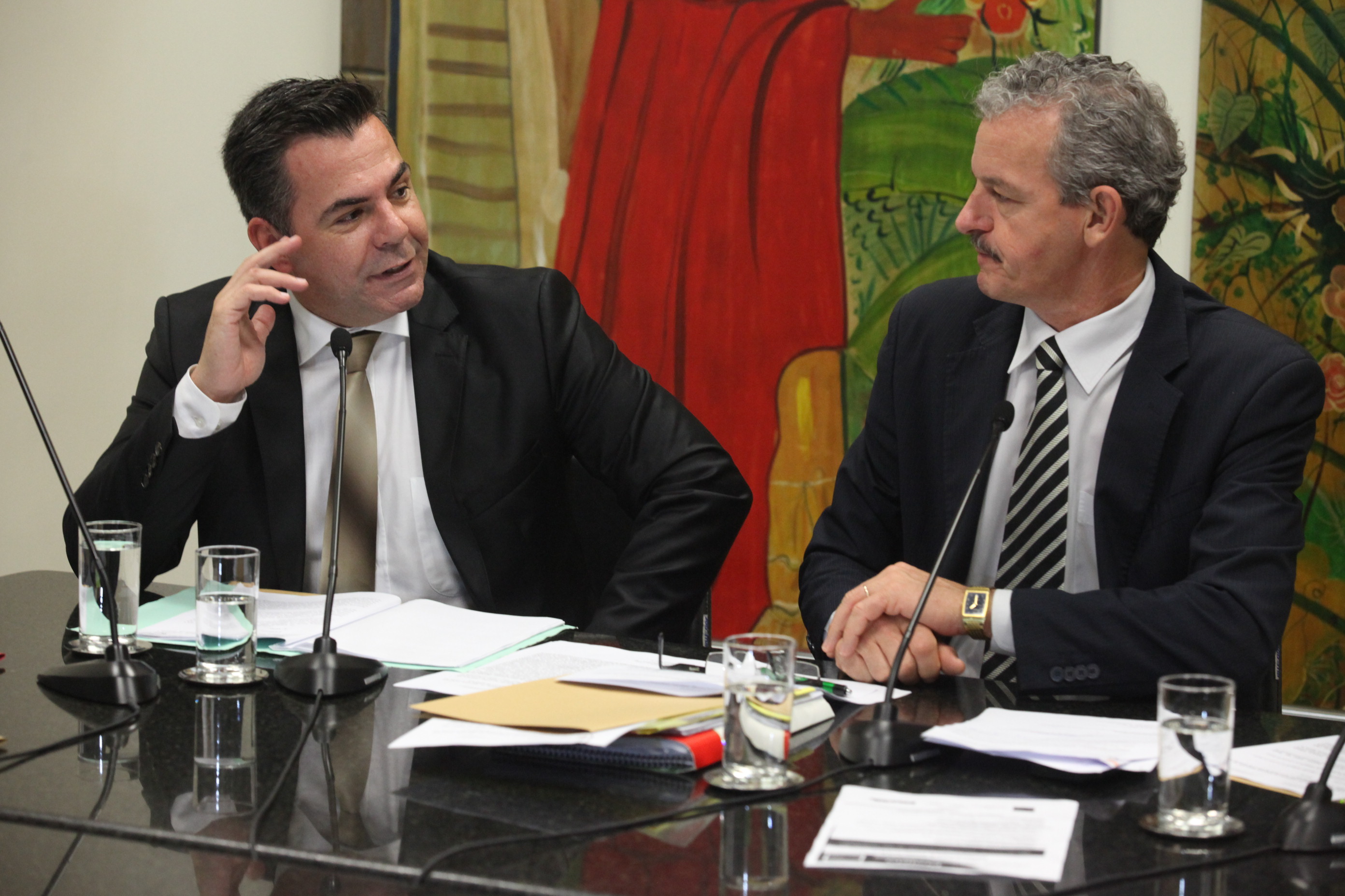 Reunião da Comissão de Direitos Humanos. Foto: Fábio Queiroz | Agência AL