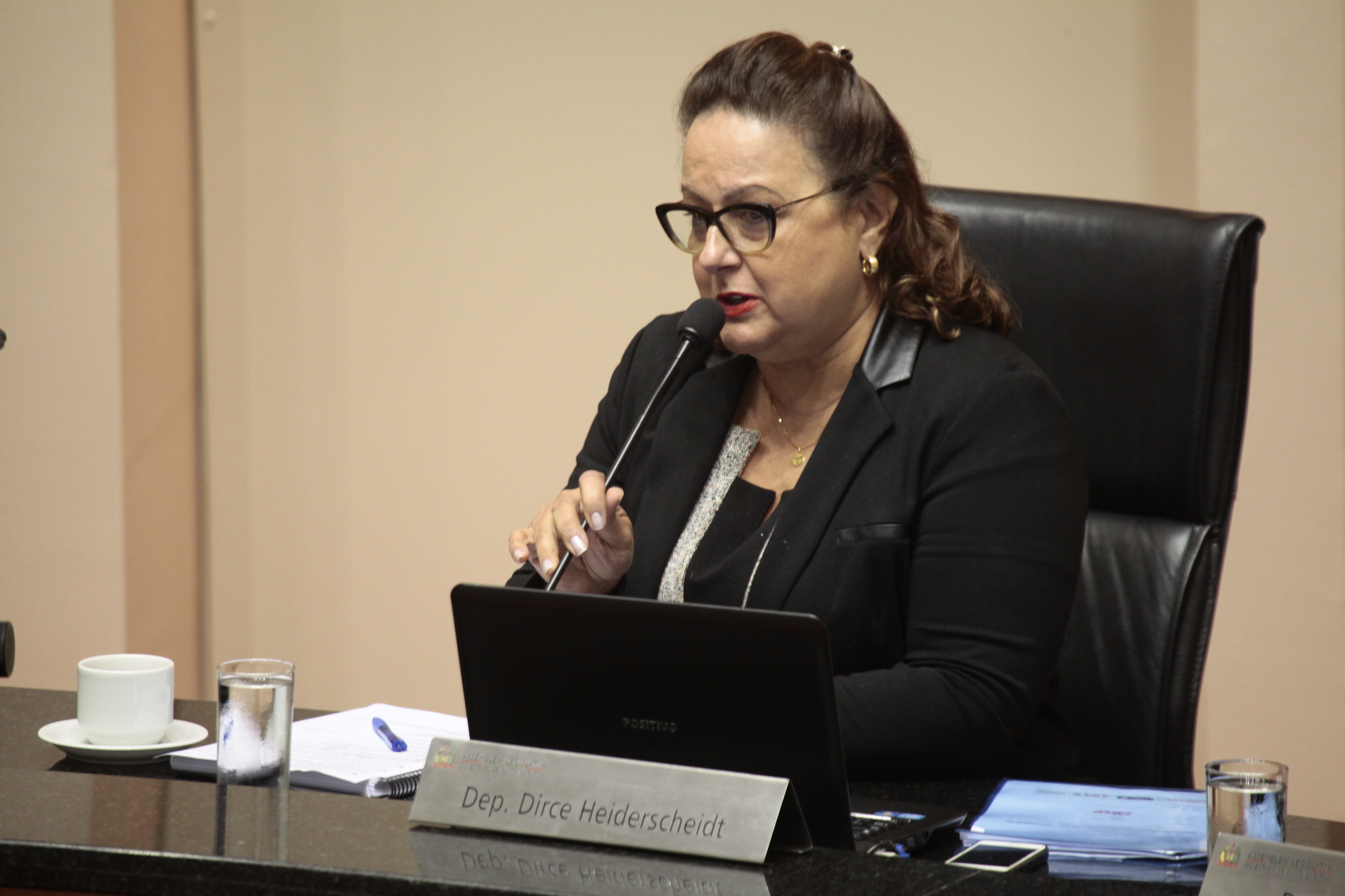 Deputada Dirce Heidercheidt (PMDB) Foto: Miriam Zomer/Agência AL