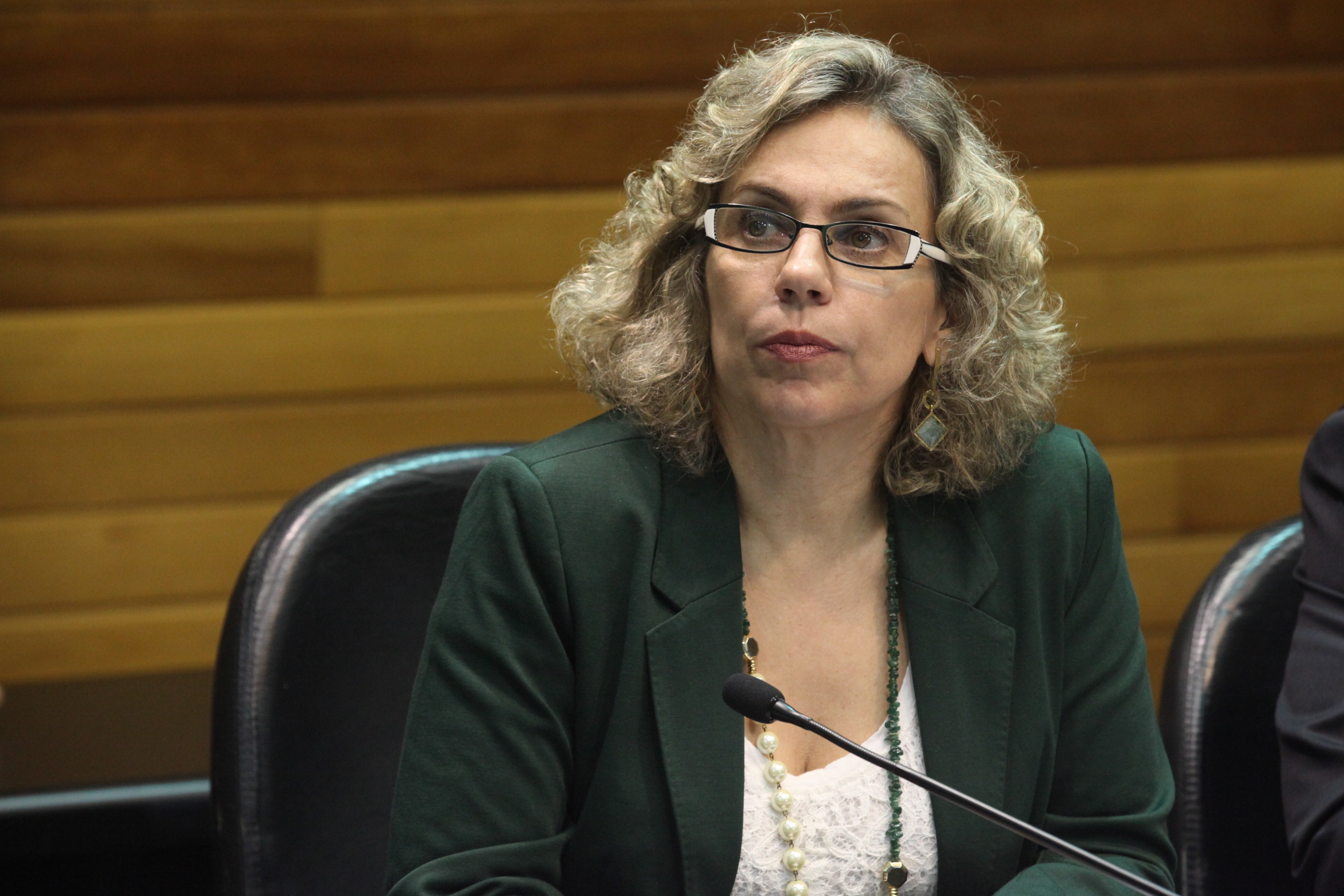 Deputada Ana Paula Lima (PT). Reunião da Comissão de Prevenção e Combate às Drogas. Foto: Fábio Queiroz / Agência AL