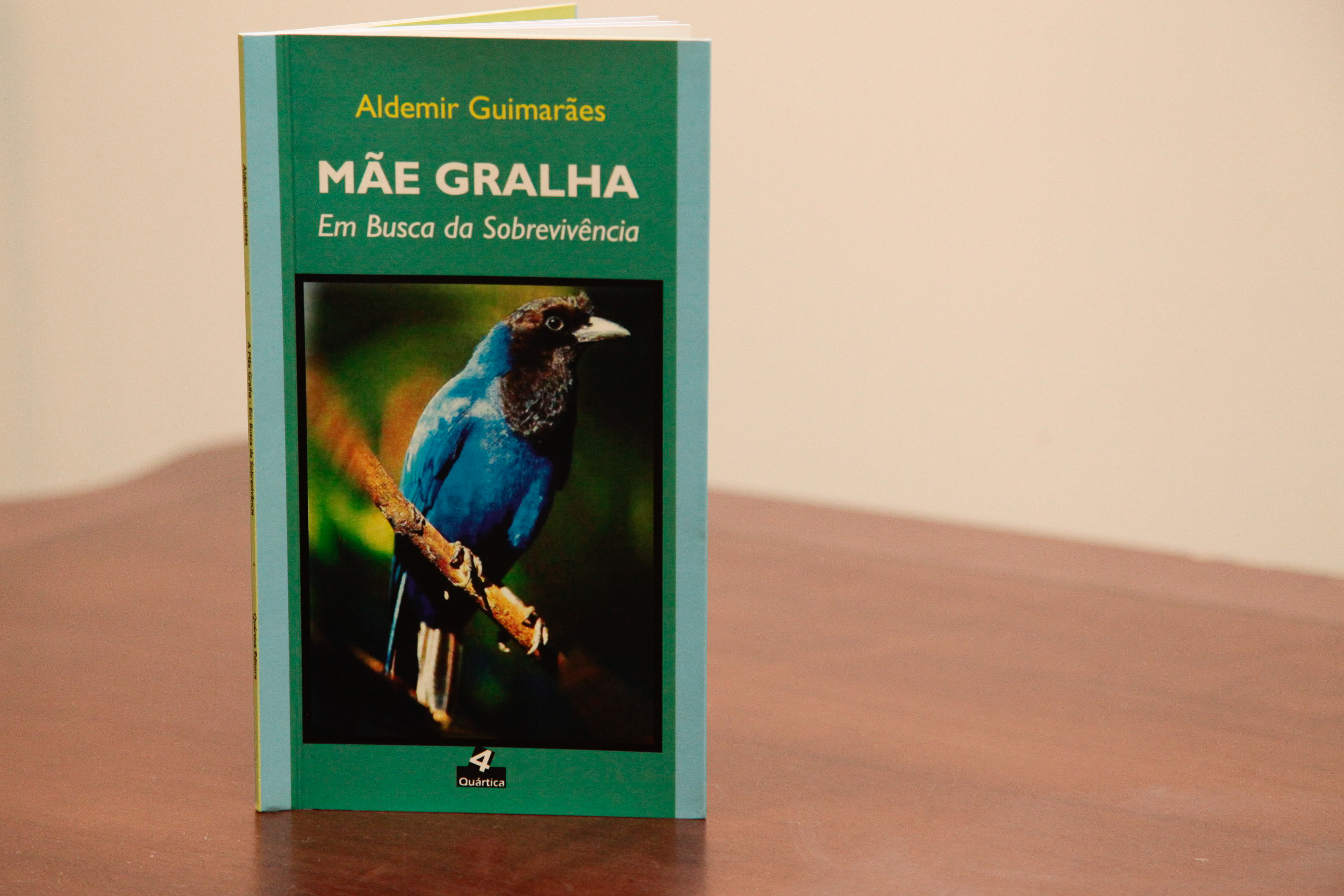 Lançamento do livro Mãe Gralha