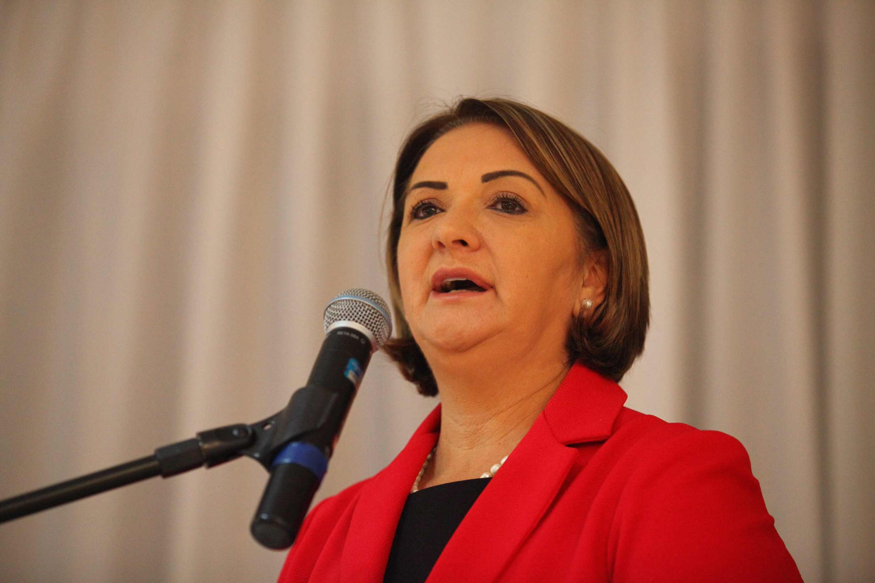 Seminário Doenças Raras - Janice Krasniak