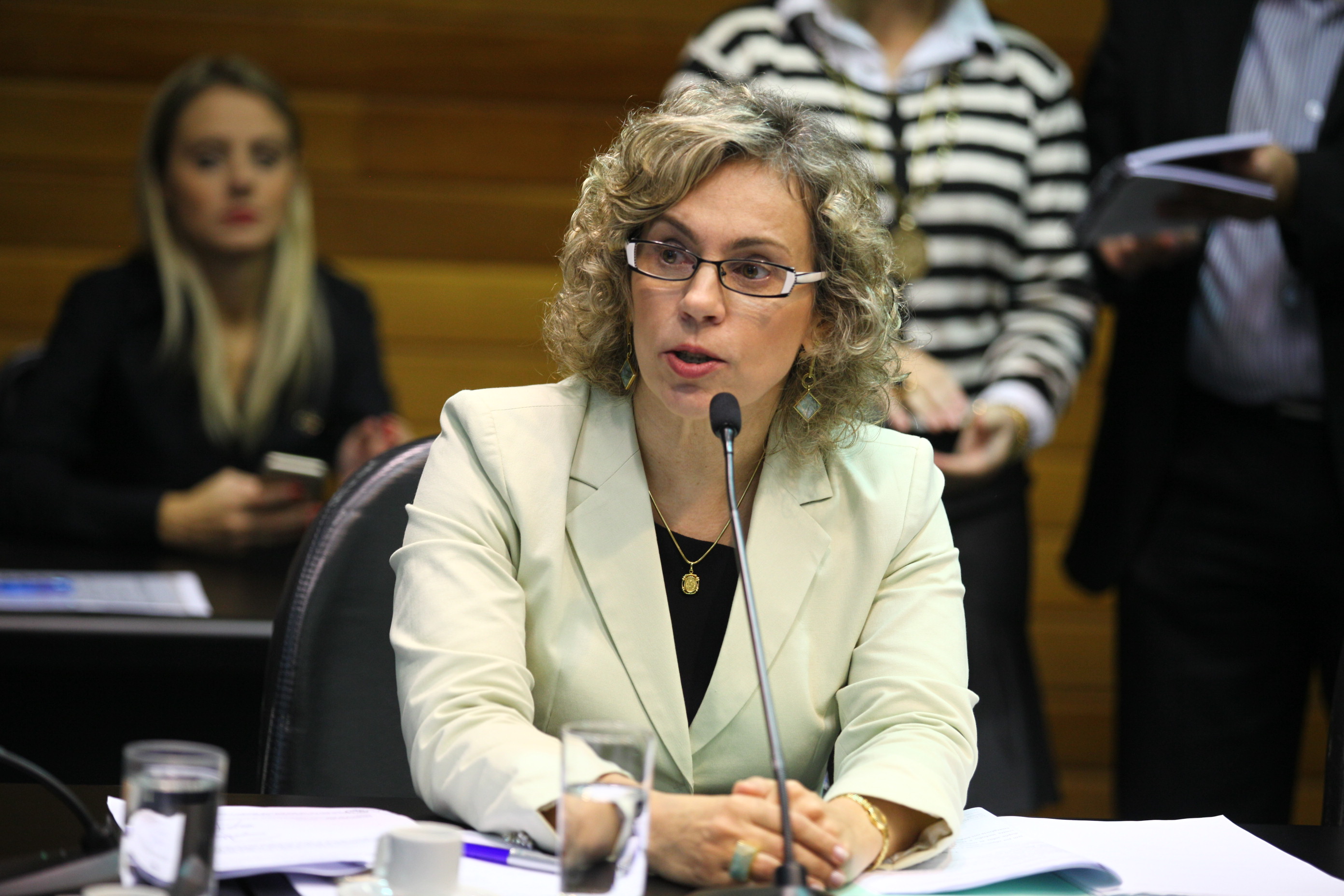 Comissão de Proteção Civil - Deputada Ana Paula Lima (PT)
