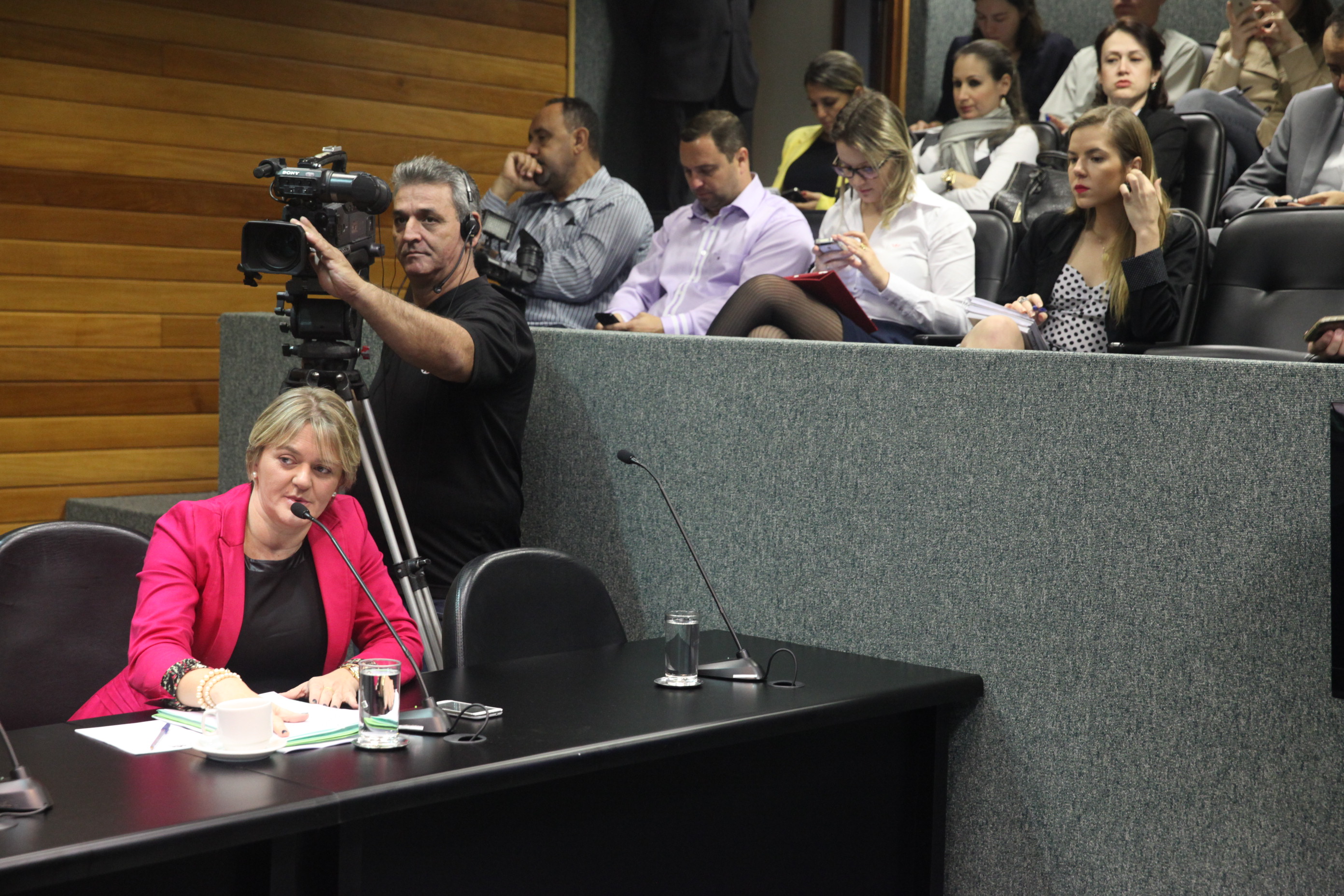 Reunião da Comissão de Constituição e Justiça. Foto: Fábio Queiroz / Agência AL