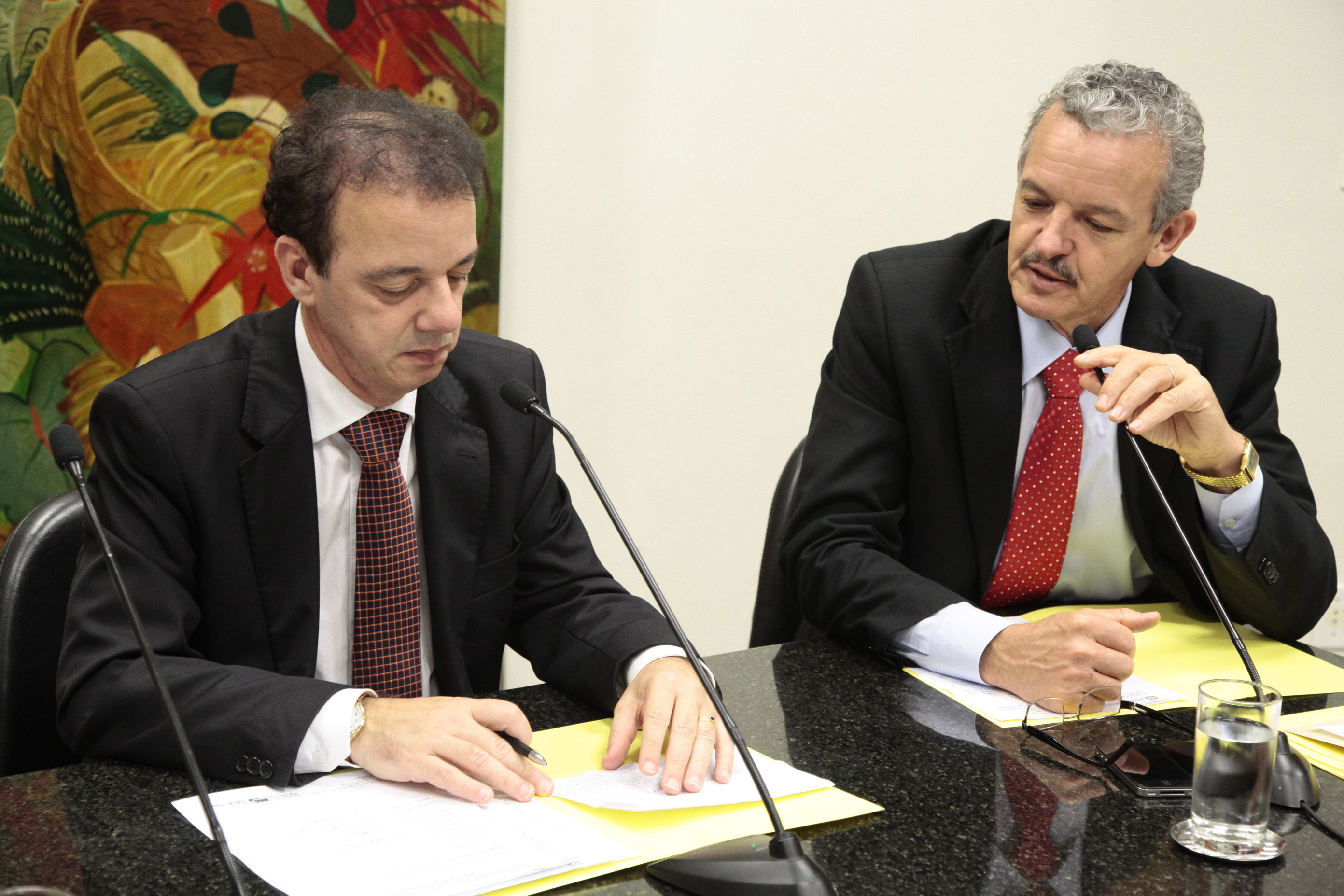 Frente Parlamentar para o Desenvolvimento de Novas Fontes de Energia. Foto: Miriam Zomer/Agência AL