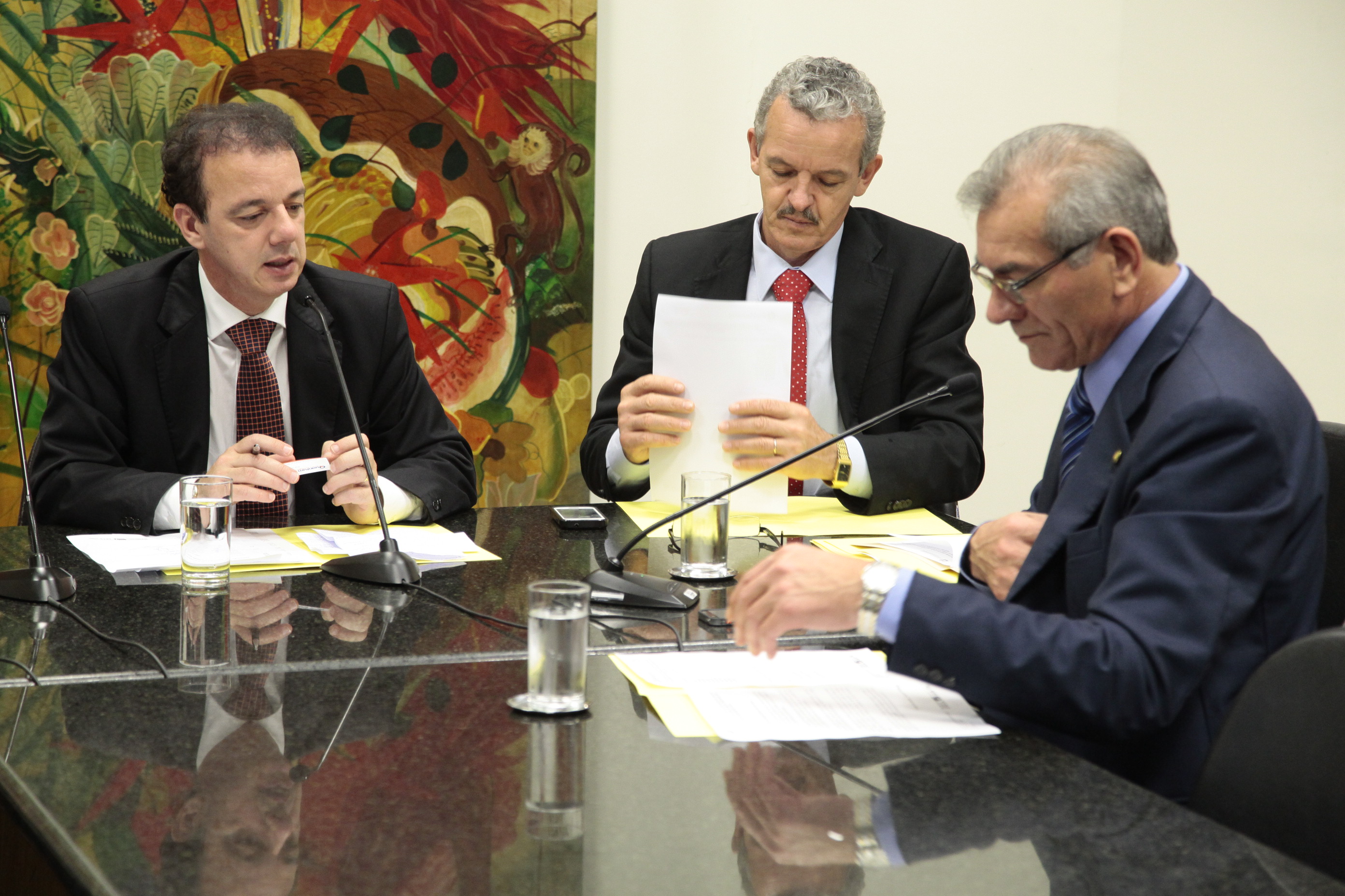 Frente Parlamentar para o Desenvolvimento de Novas Fontes de Energia. Foto: Miriam Zomer/Agência AL