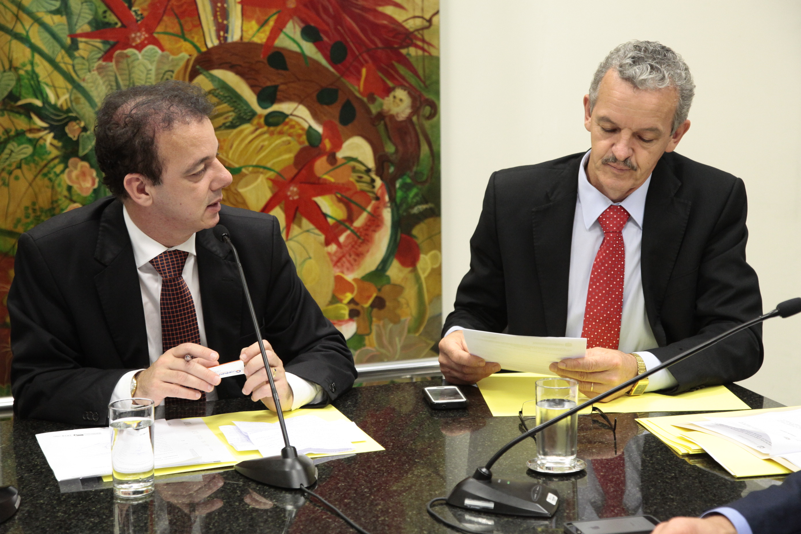 Frente Parlamentar para o Desenvolvimento de Novas Fontes de Energia. Foto: Miriam Zomer/Agência AL