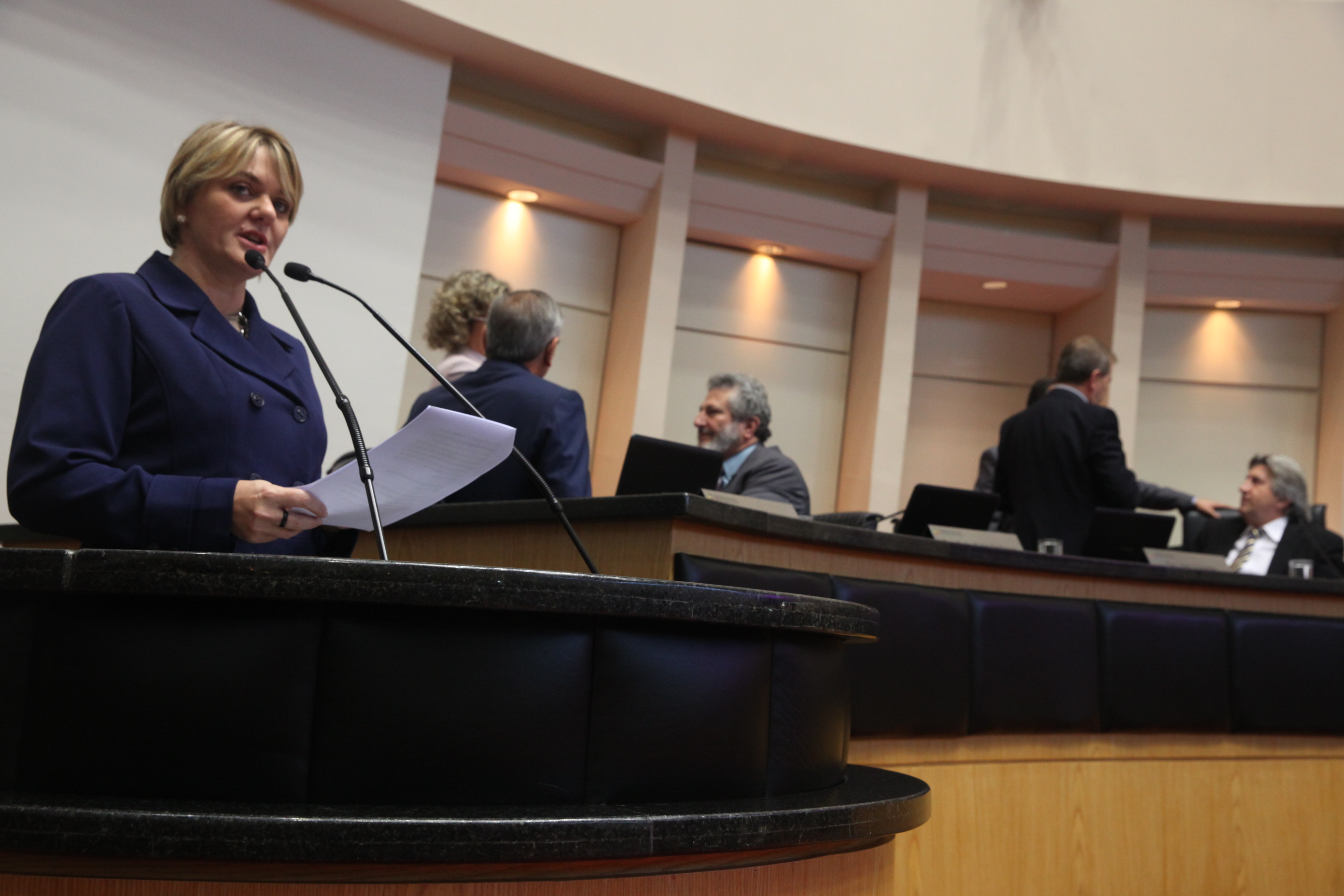 Sessão Ordinária - Plenário Osni Régis. Deputada Luciane Carminatti (PT)  - Foto: Eduardo Guedes de Oliveira/Agência AL