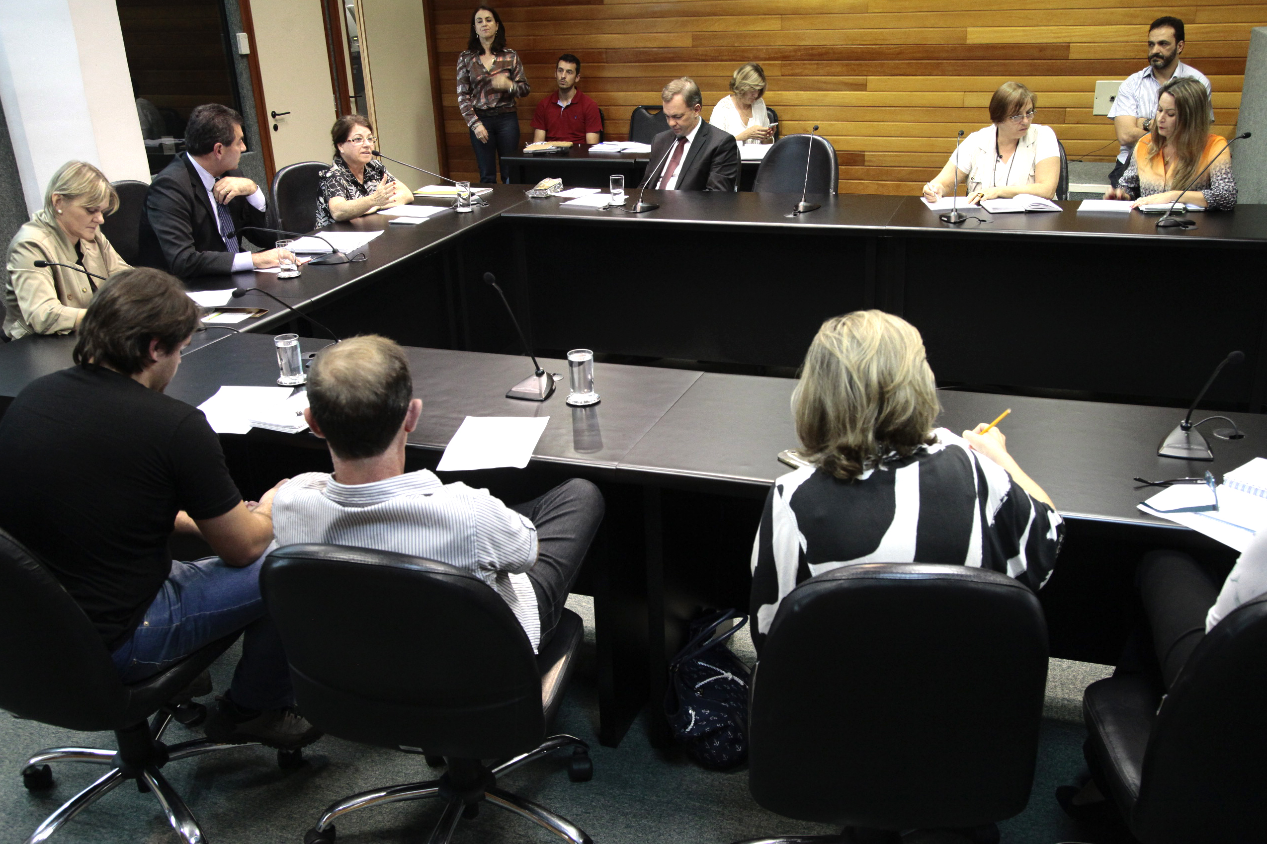 Reunião da Comissão de Educação. Foto: Miriam Zomer/Agência AL