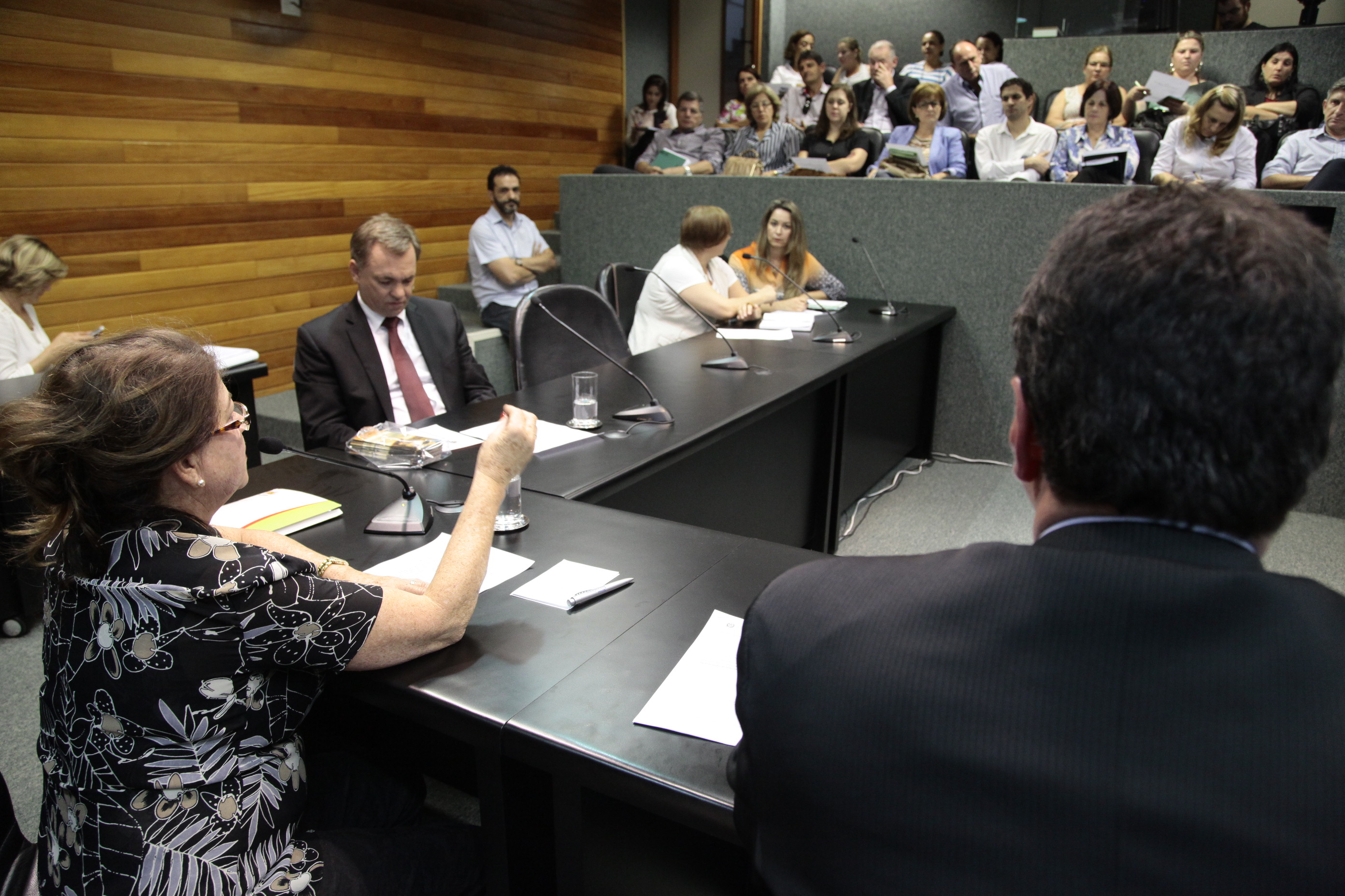 Reunião da Comissão de Educação. Foto: Miriam Zomer/Agência AL