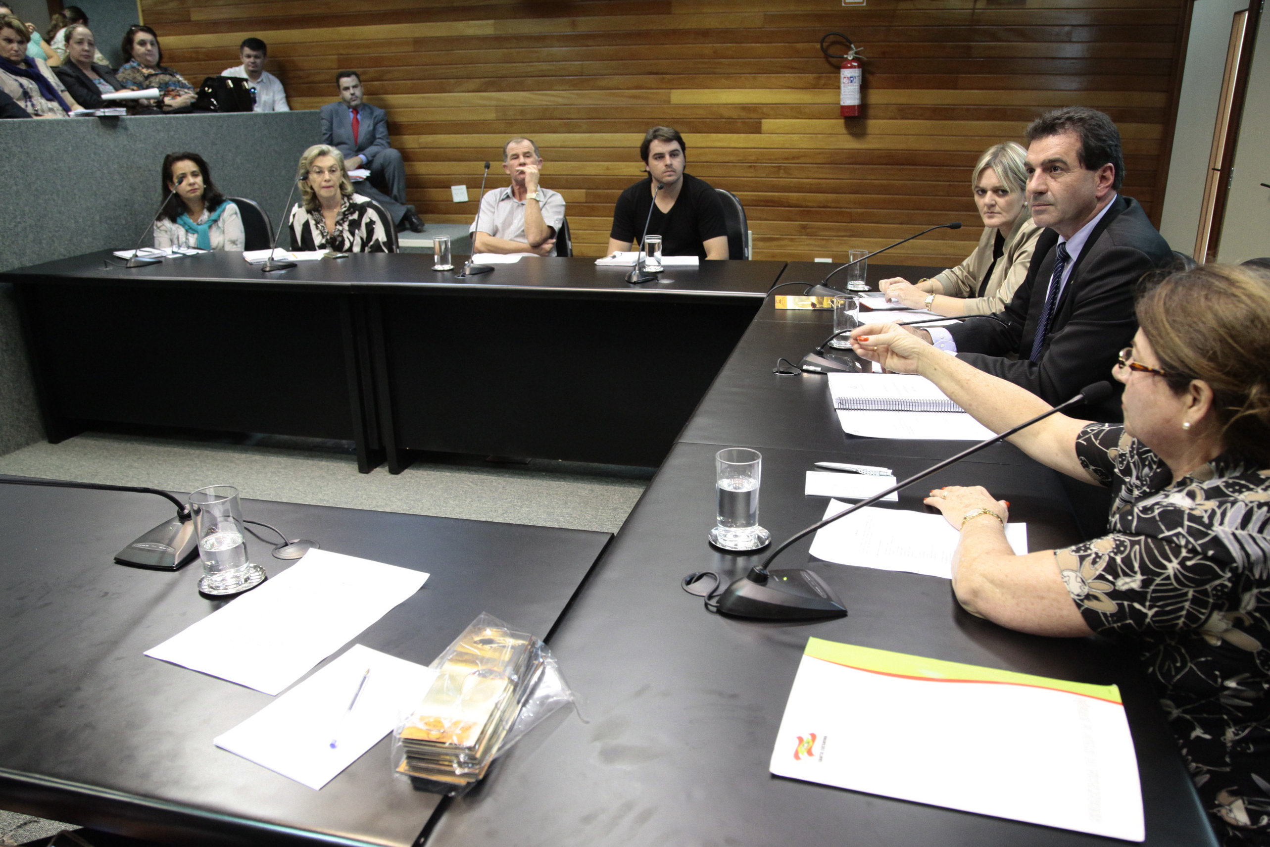 Reunião da Comissão de Educação. Foto: Miriam Zomer/Agência AL