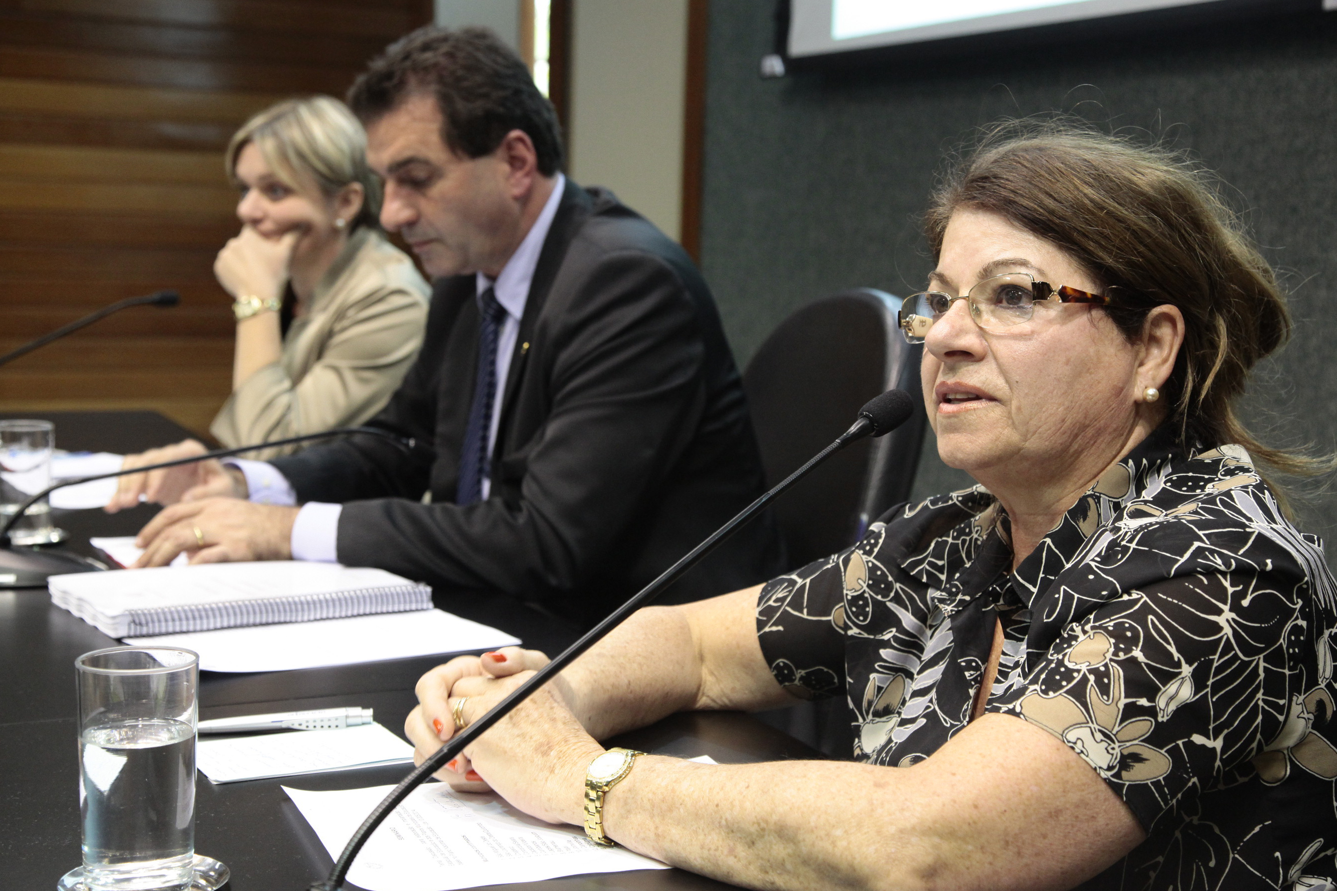 Reunião da Comissão de Educação. Foto: Miriam Zomer/Agência AL