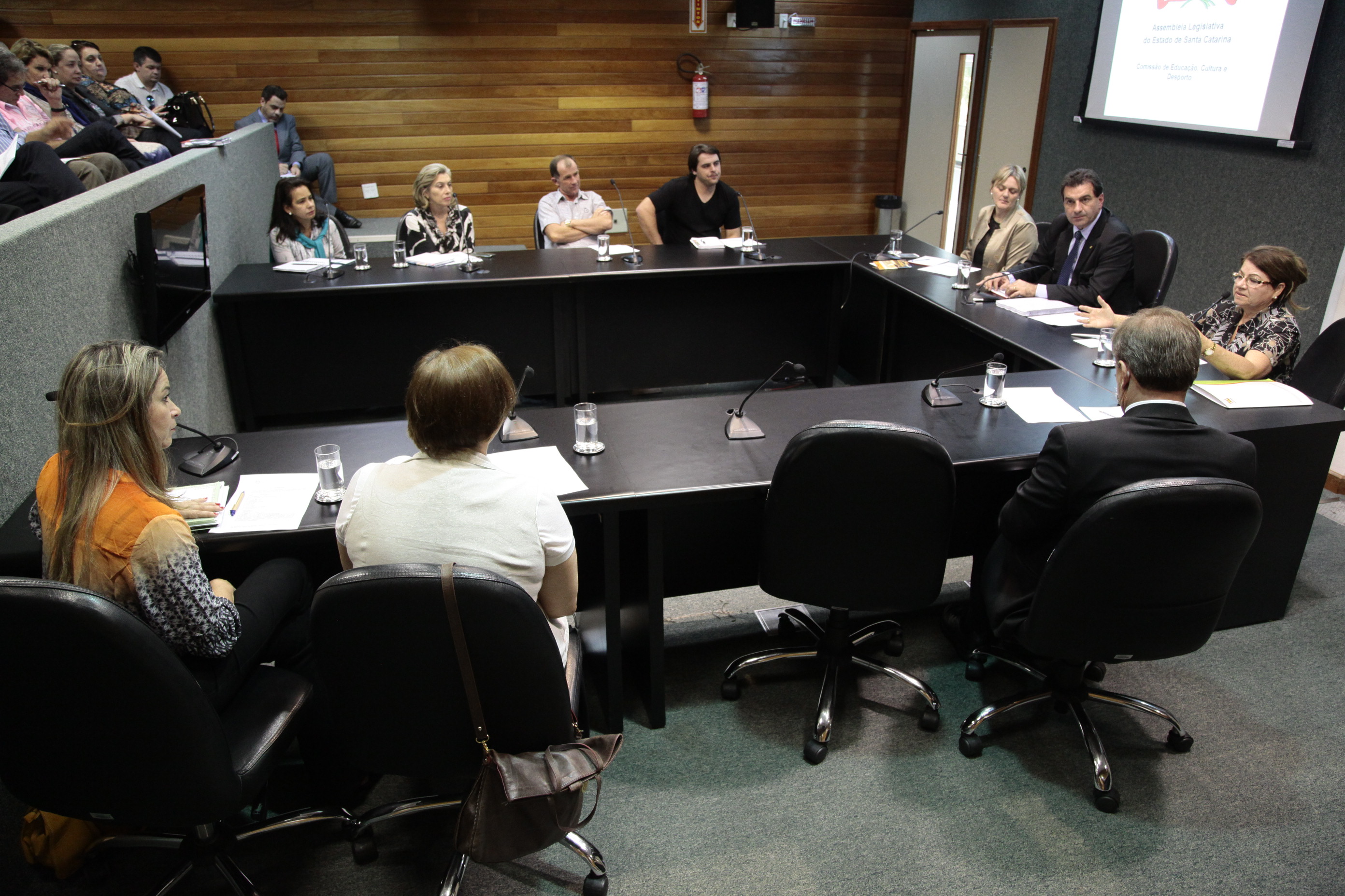 Reunião da Comissão de Educação. Foto: Miriam Zomer/Agência AL