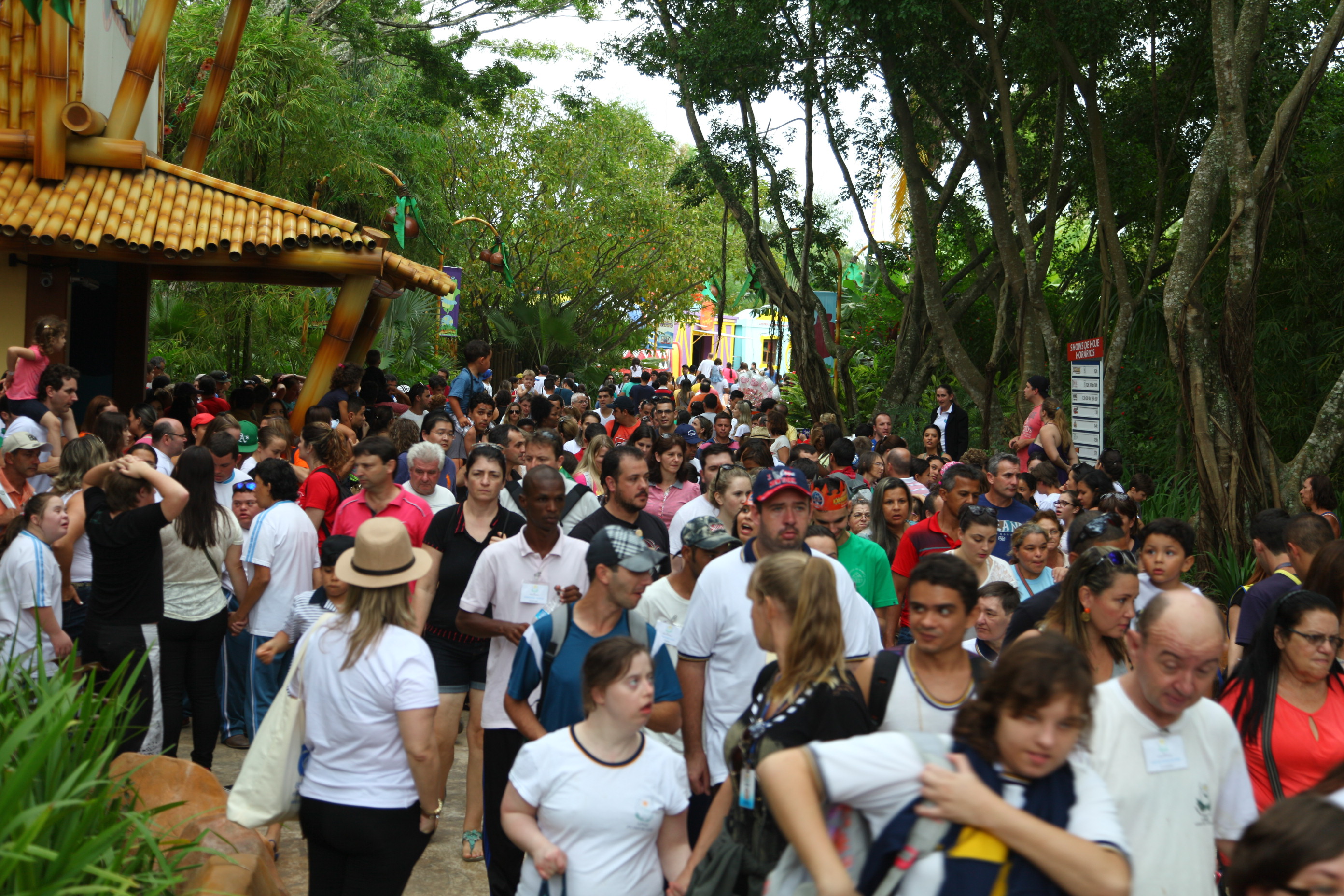 APAE no Beto Carrero