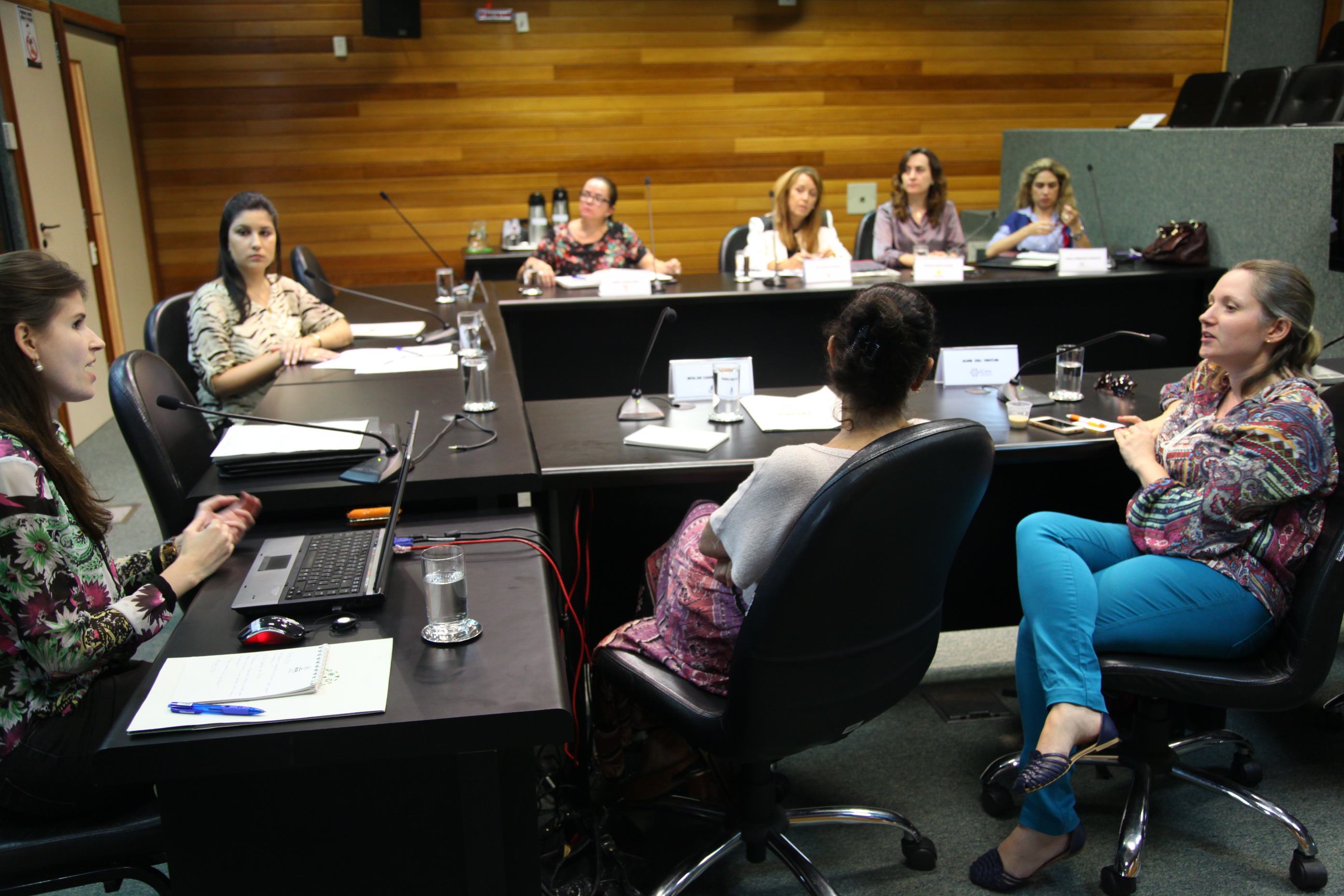 Reunião da Comissão de Responsabilidade Social. Foto: Eduardo Guedes de Oliveira/Agência