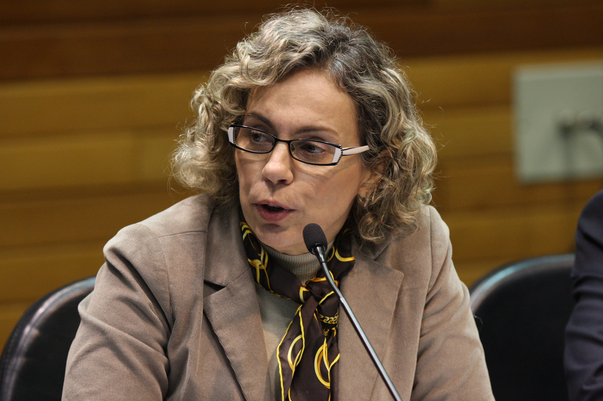 Comissão Proteção Civil. Deputada Ana Paula Lima (PT). Foto: Yuri Santos / Agência AL