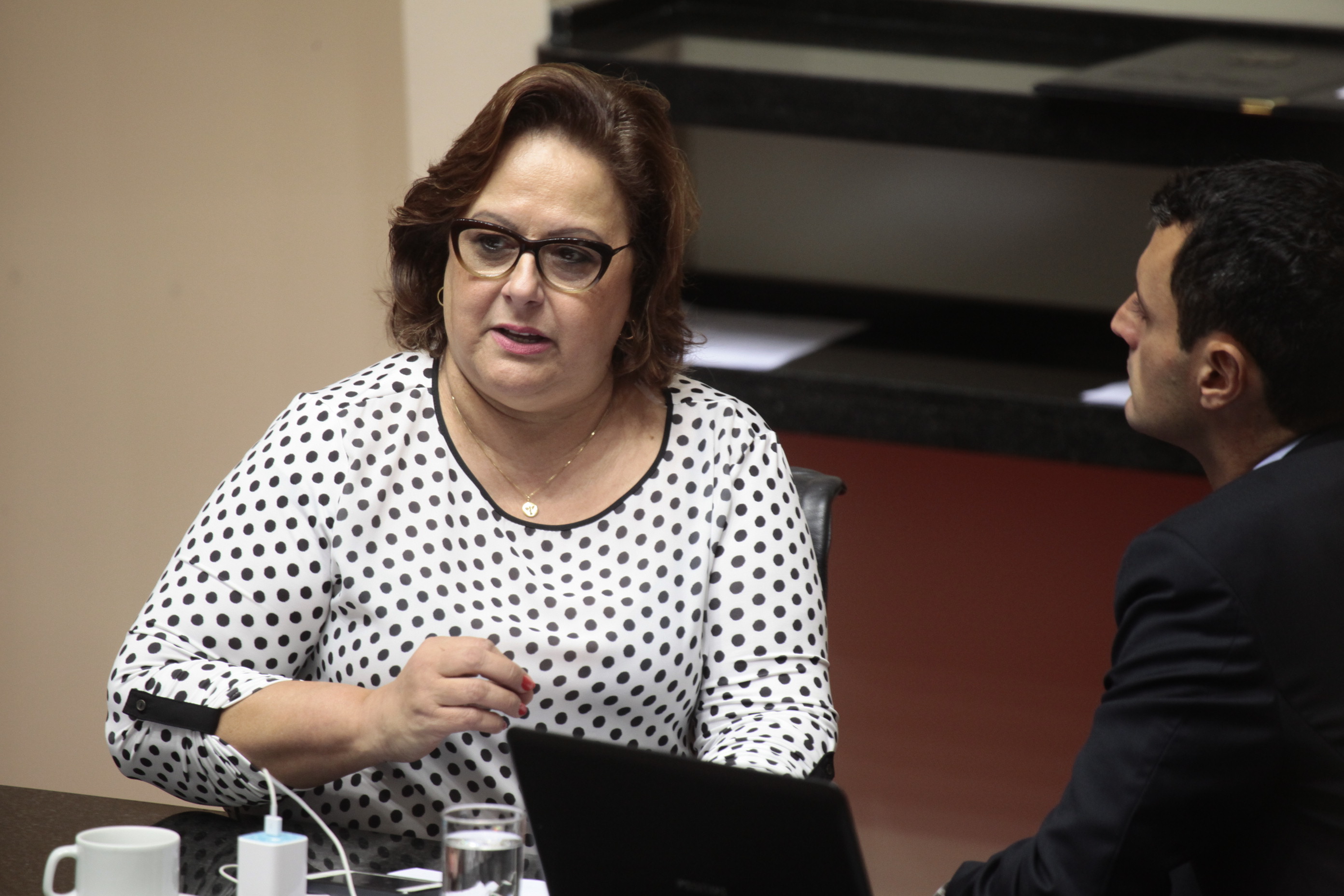 Sessão Ordinária - Plenário Osni Régis. Deputada Dirce Heiderscheidt (PMDB)  - Foto: Miriam Zomer/Agência AL