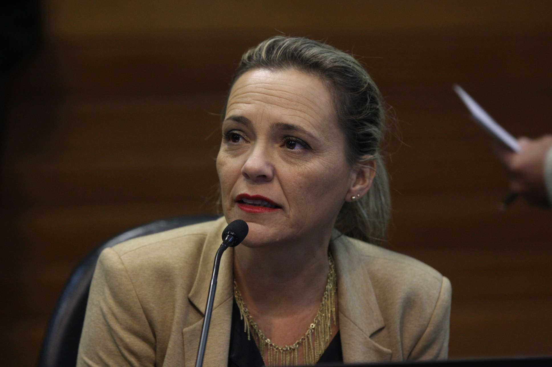 Comissão de Segurança Pública. Foto: Yuri Santos / Agência AL