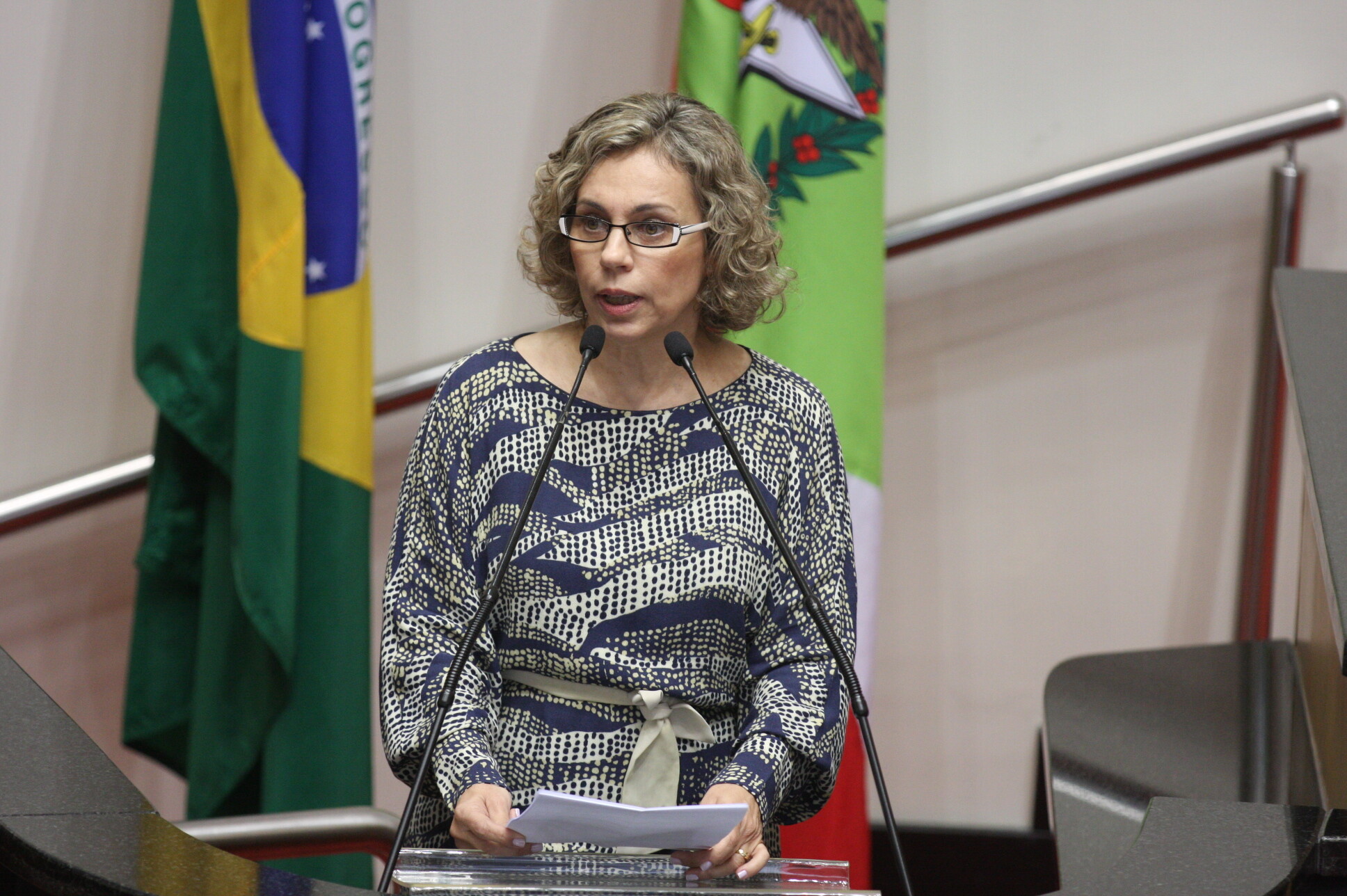 Deputada Ana Paula Lima