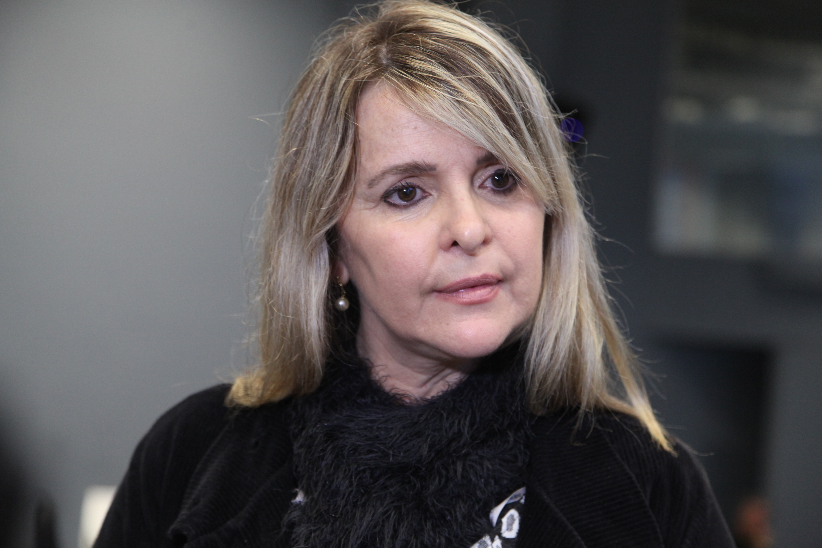 Seminário Regionalizado sobre Gestão Municipal do Fundo para a Infância e Adolescência - FIA. Lages. Alice Maria Zambonatto. Foto: Miriam Zomer/Agência AL