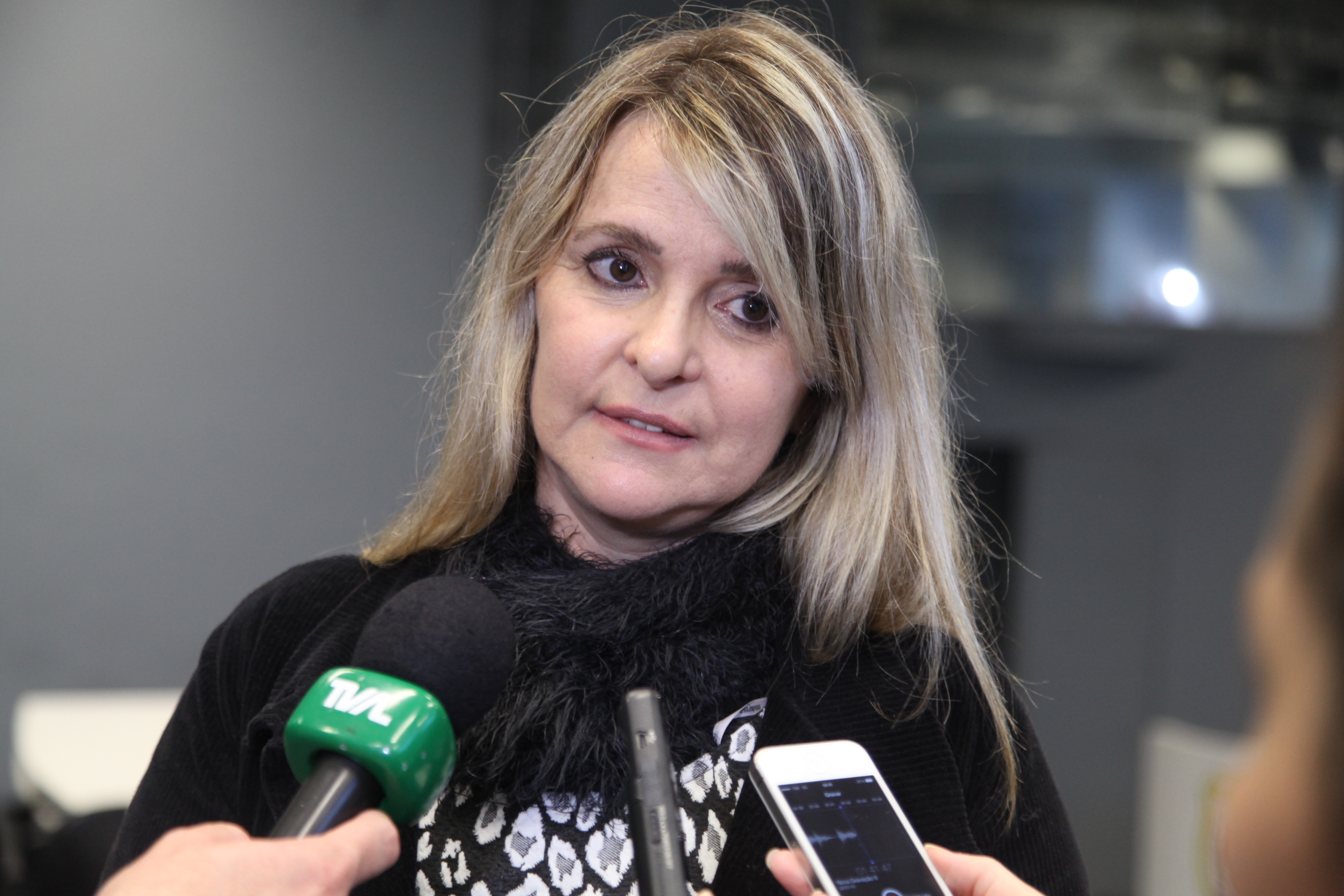 Seminário Regionalizado sobre Gestão Municipal do Fundo para a Infância e Adolescência - FIA. Lages. Alice Maria Zambonatto. Foto: Miriam Zomer/Agência AL