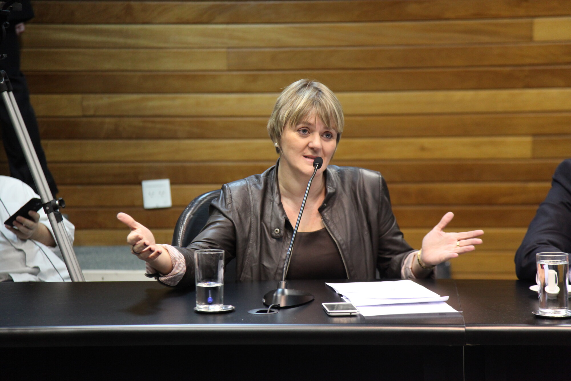 Deputada Luciane Carminatti