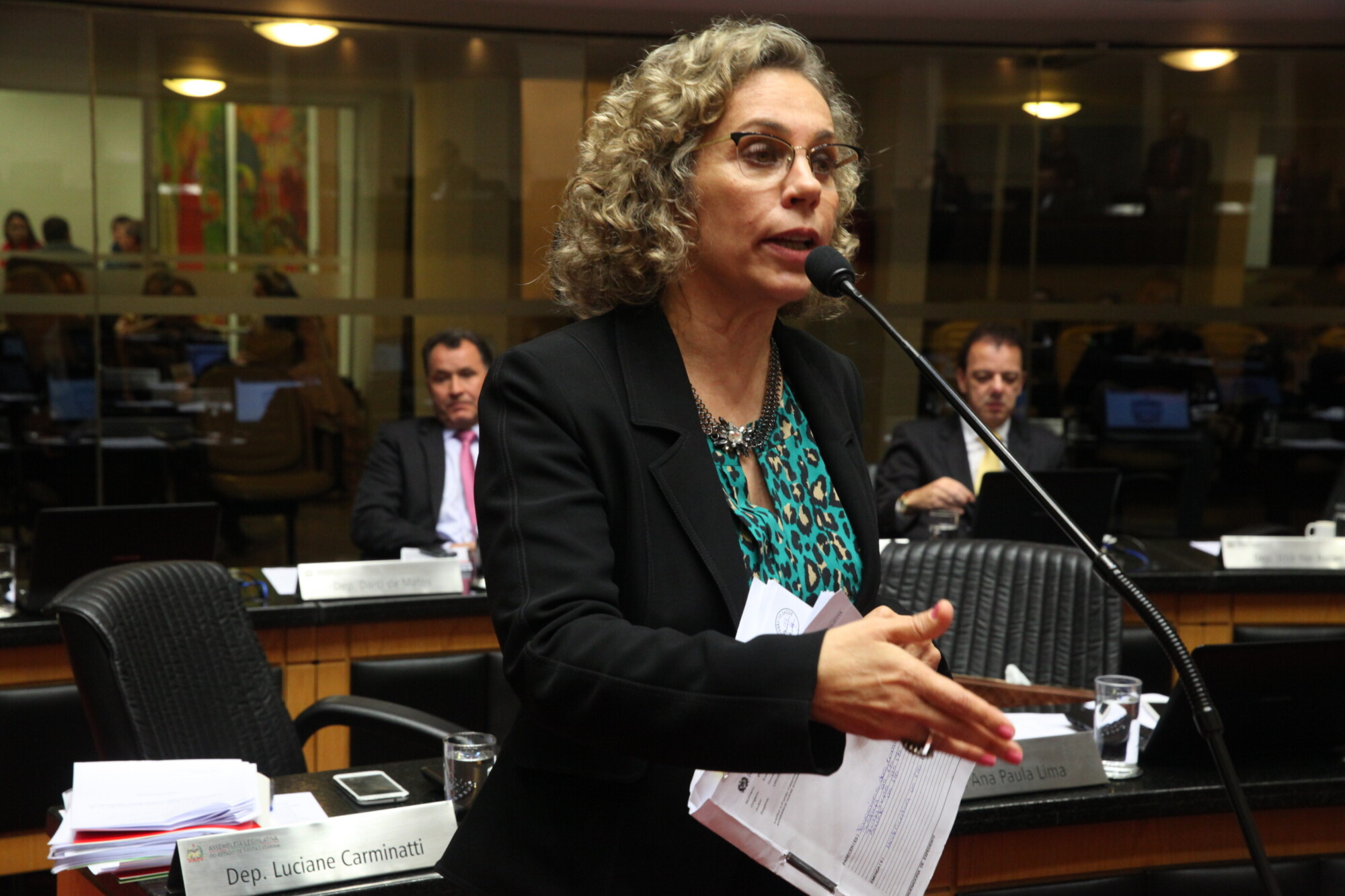 Deputada Ana Paula Lima