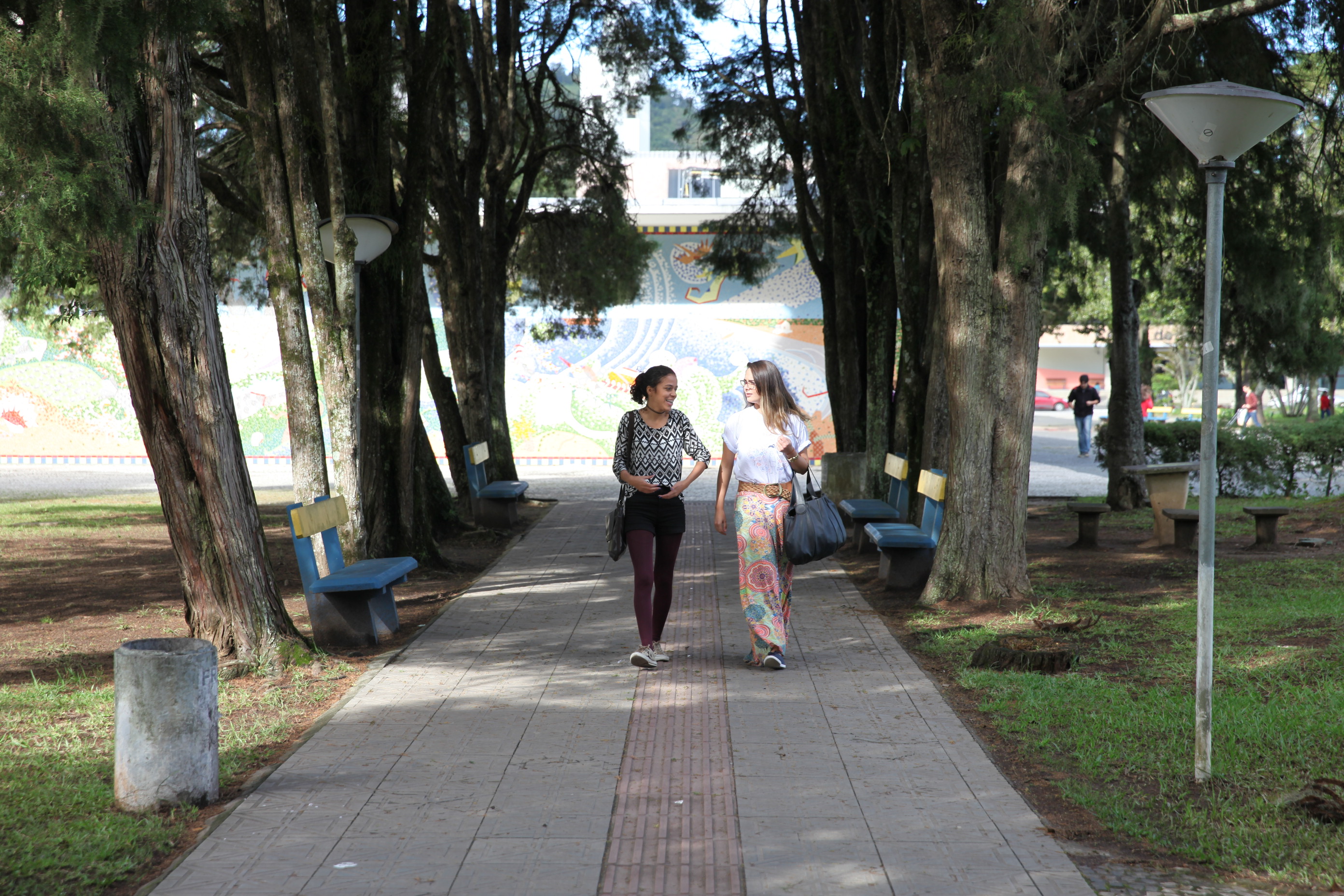 Estudantes participam de conferência sobre mudanças climáticas. Foto: Fábio Queiroz / Agência AL