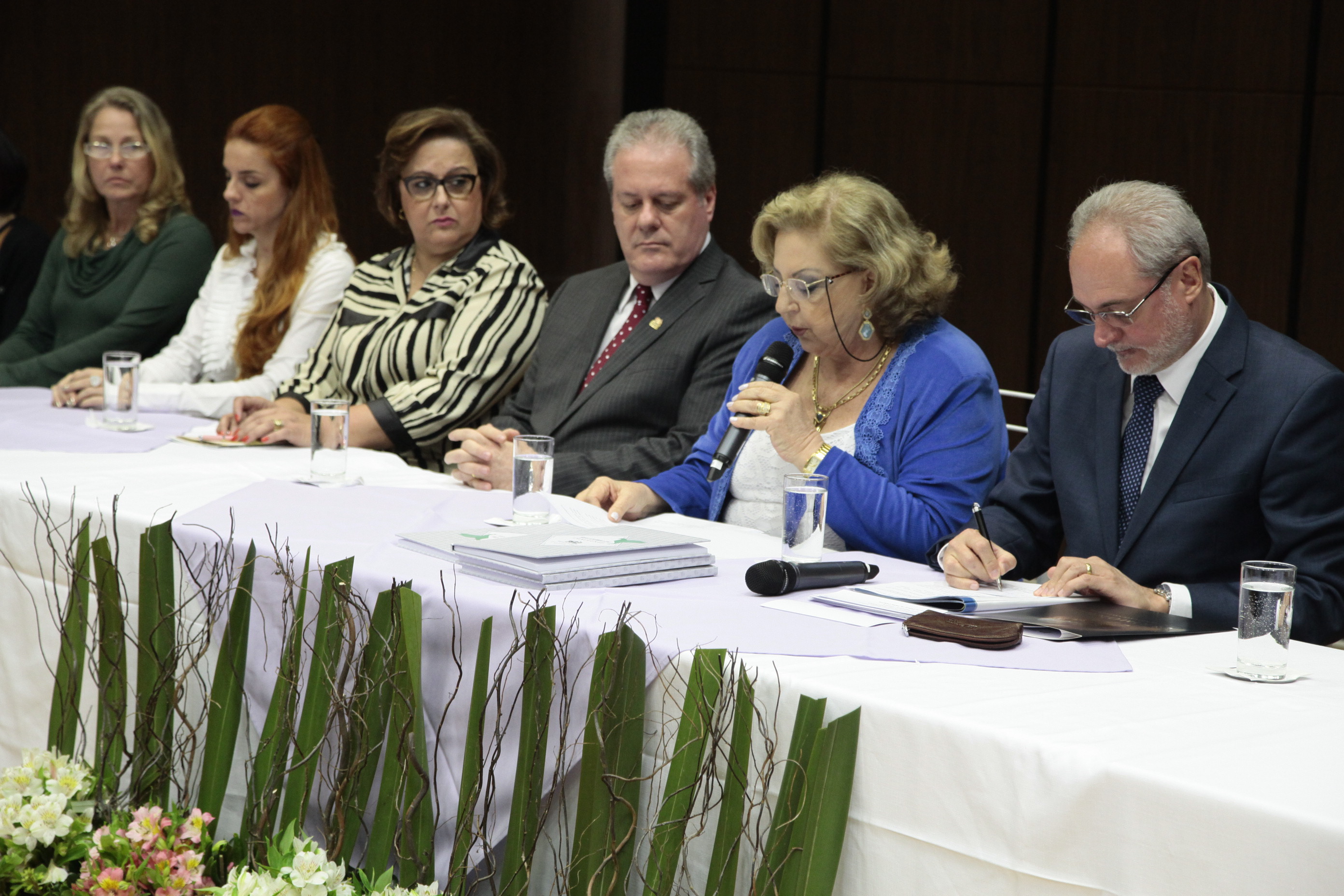 Campanha Justiça pela Paz em Casa. Foto: Miriam Zomer/Agência AL