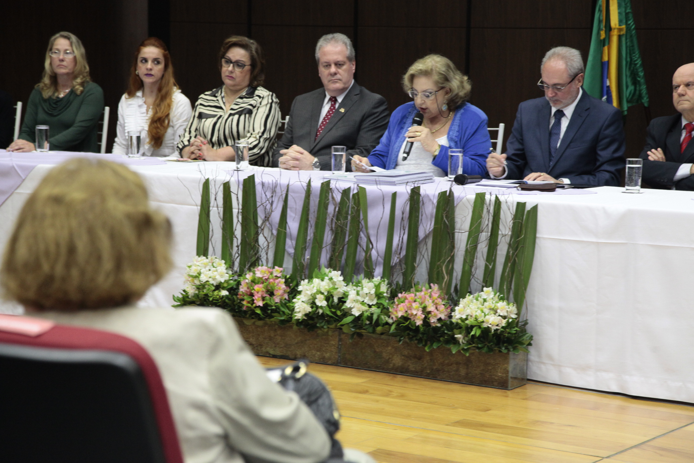 Campanha Justiça pela Paz em Casa. Foto: Miriam Zomer/Agência AL